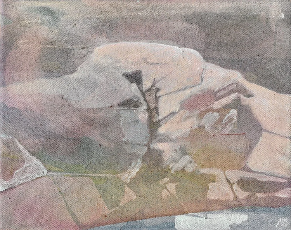 Pink Haze - Brecon Beacons