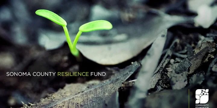 Sonoma County Resilience Fund