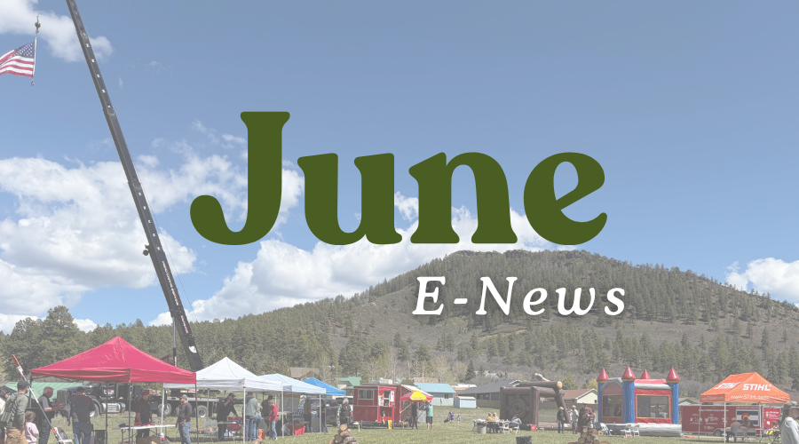 June E News (4).png