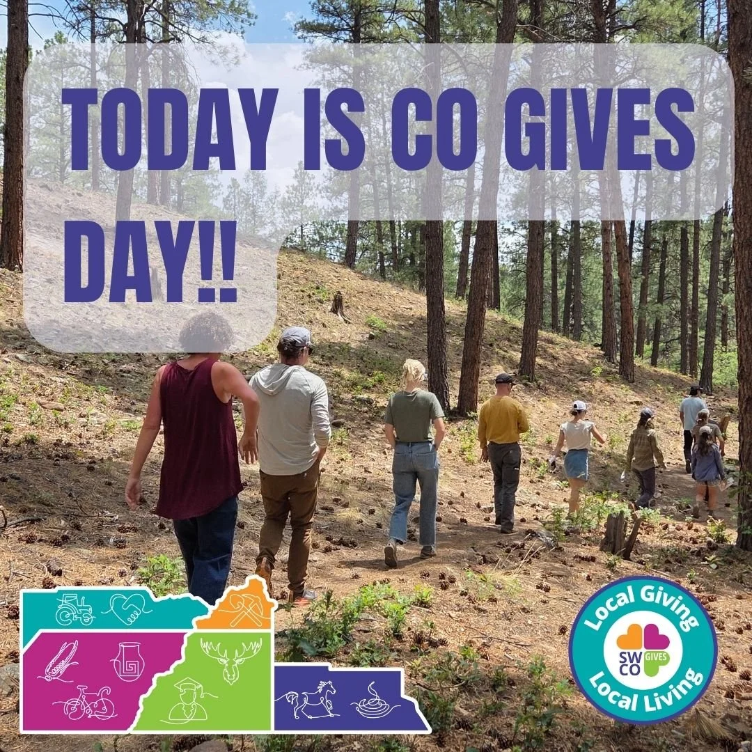 THE DAY IS HERE! IT'S COLORADO GIVES DAY!

It's the best day to stretch your dollars for donation! Wildfire Adapted Partnership has already completed over 350 site assessments, and over 450 acres in cost-share projects!! We couldn't do it without you