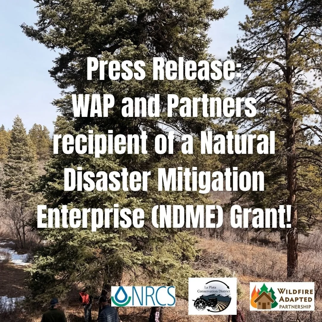 Press Release: In partnership with the La Plata Conservation District and NRCS, WAP is excited to announce that we are the recipient of round 2 of the NDME grant opportunity! This funding will be used towards mitigation efforts in La Plata County Cou