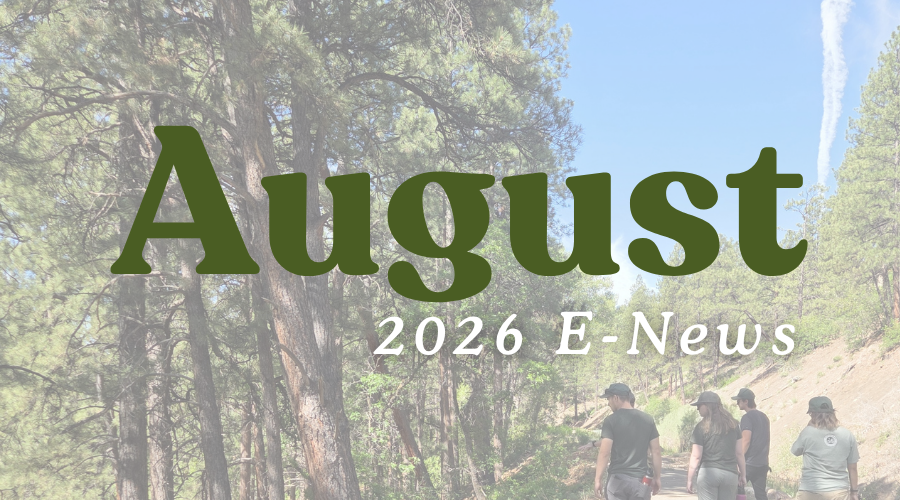 August E News (7).png