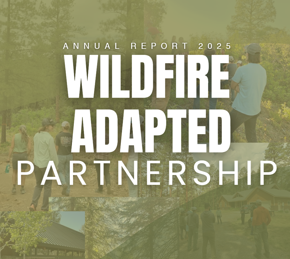 Screenshot 2026-02-05 125352.png