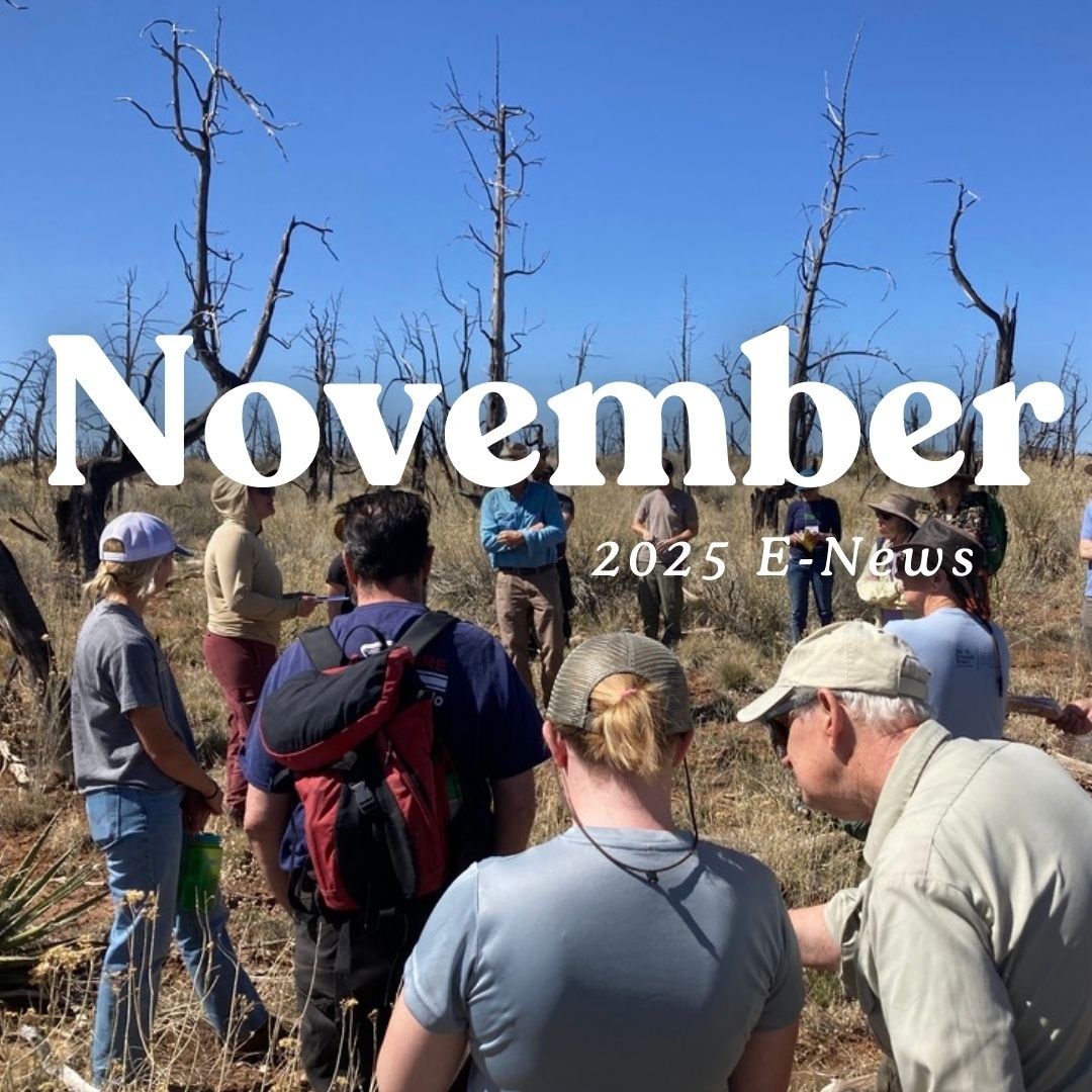 Copy of Copy of CWPP AC Partner Logos (3).jpg