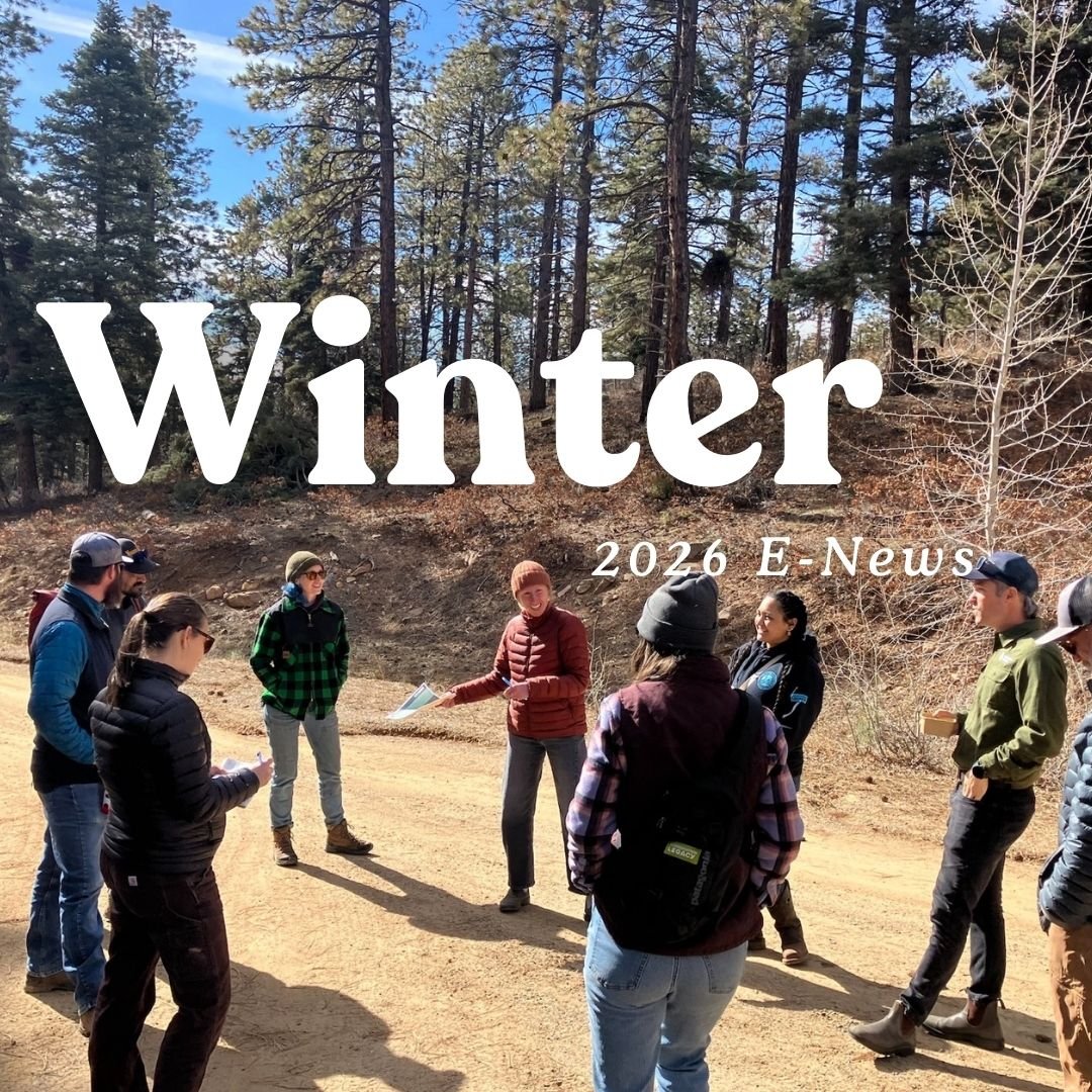 Copy of Copy of CWPP AC Partner Logos (2).jpg