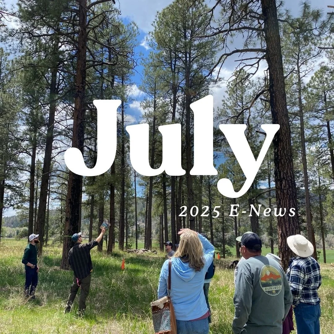 Copy of Copy of CWPP AC Partner Logos (6).jpg