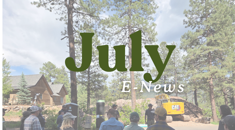 July E News (4).png