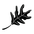 Ashwagangha Root