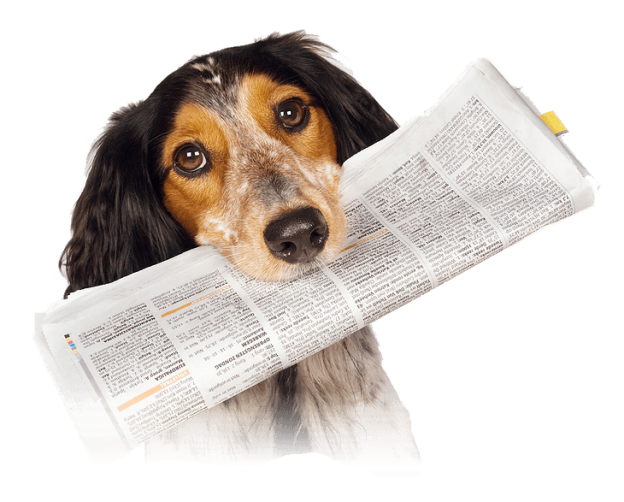 LicksPillFreeInTheMedia-624x502.png