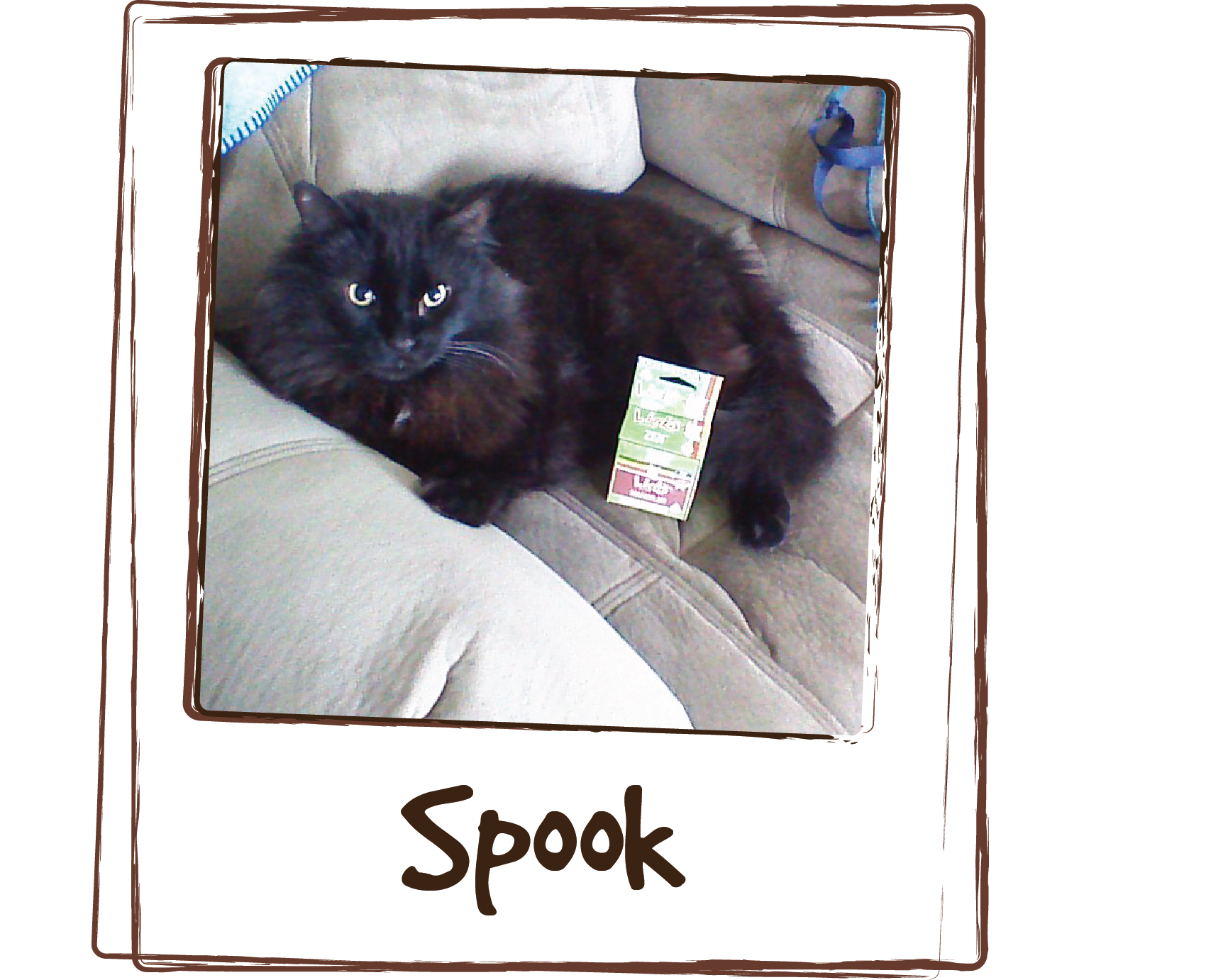  “Giving Spook Licks Zen has calmed him down so he isn't aggressive towards our 8 year old female cat. It mellows him right out so he doesn't have the urge to jump at her when she walks by.” 