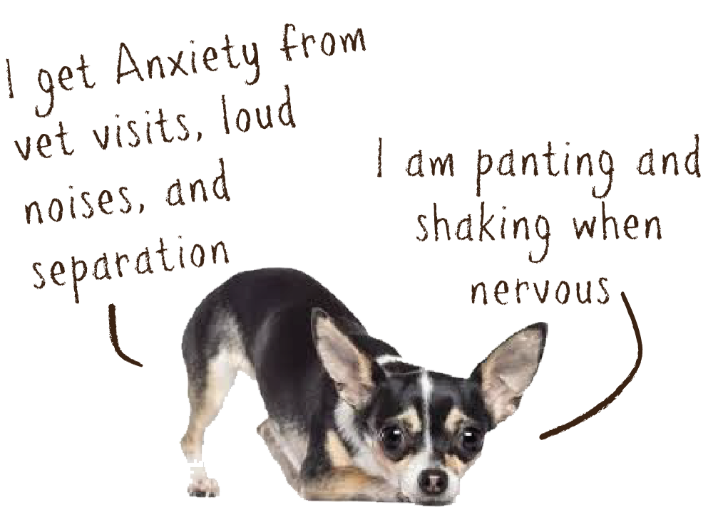 Anxiety.png