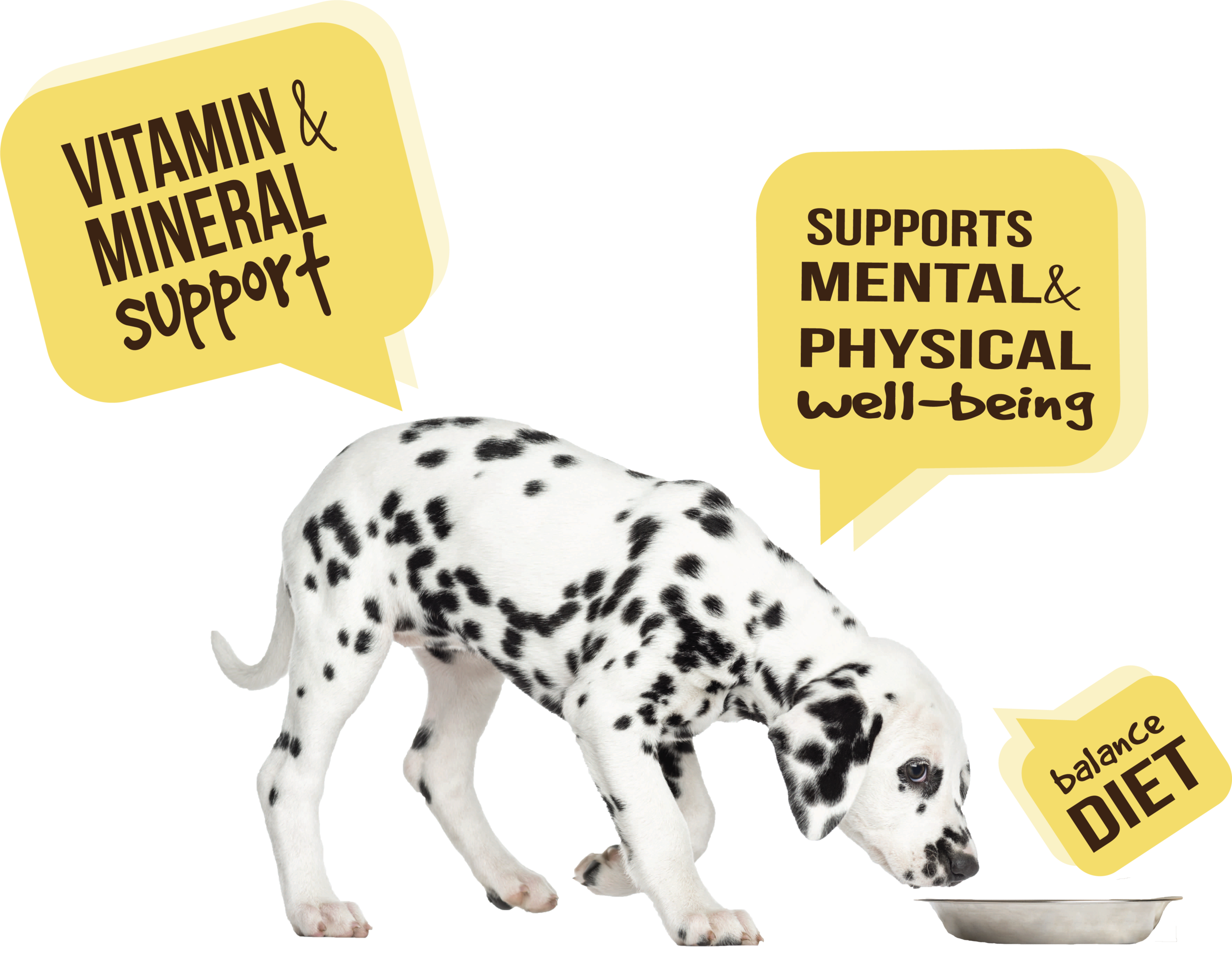 dog multi r1.png