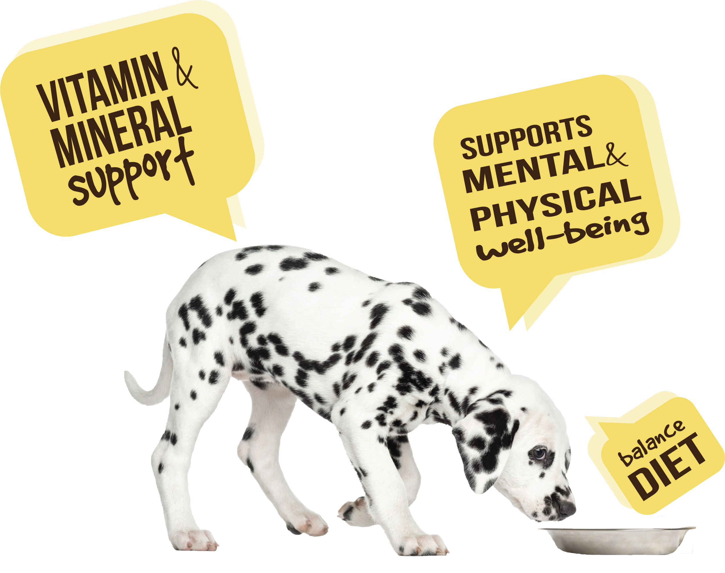 dog multivit graphic r1.png