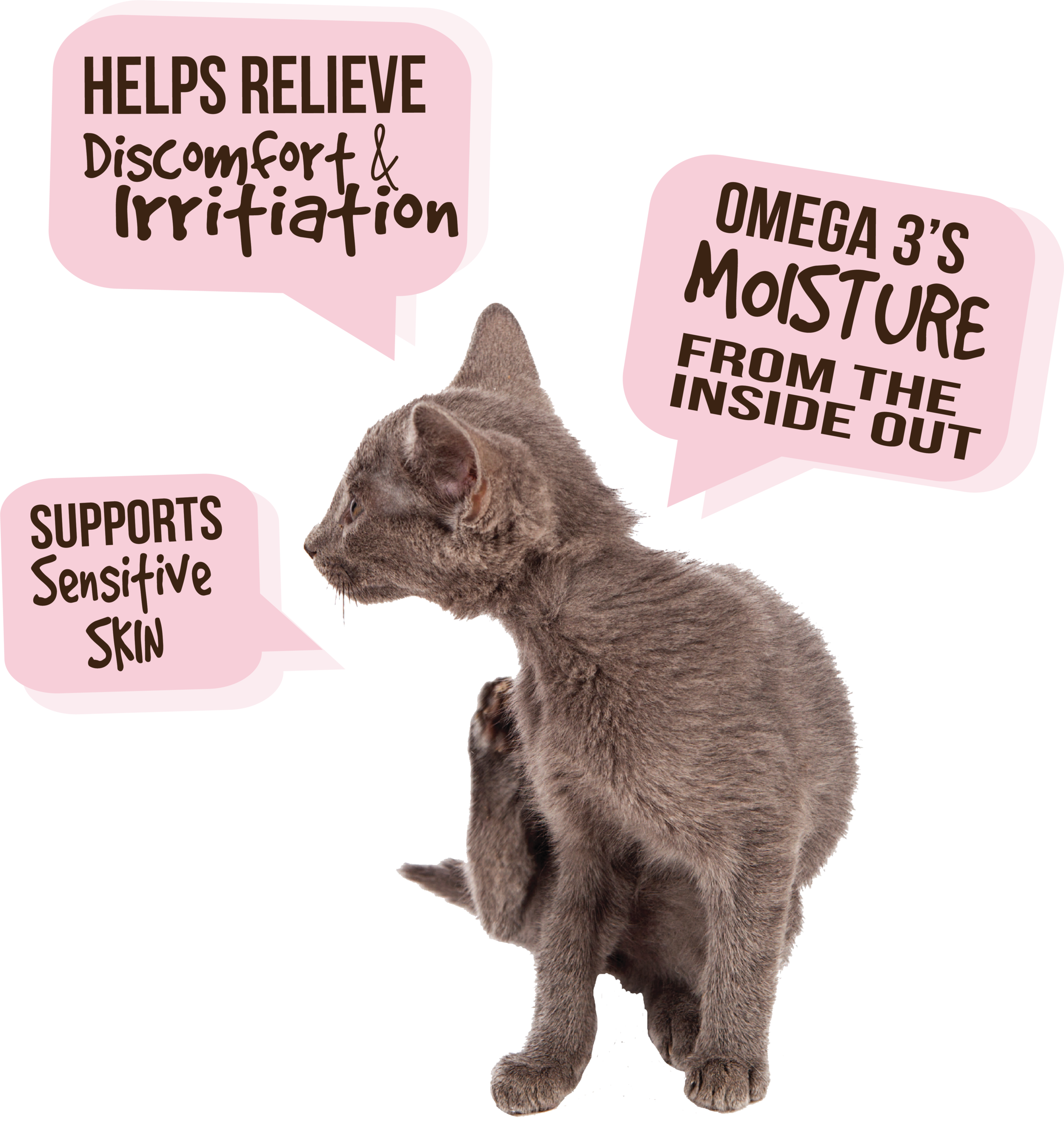 cat skin r1.png
