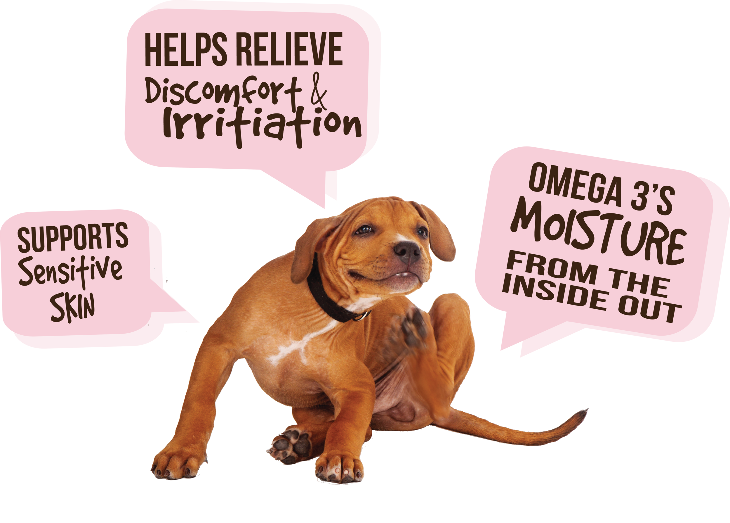 dog skin r1.png