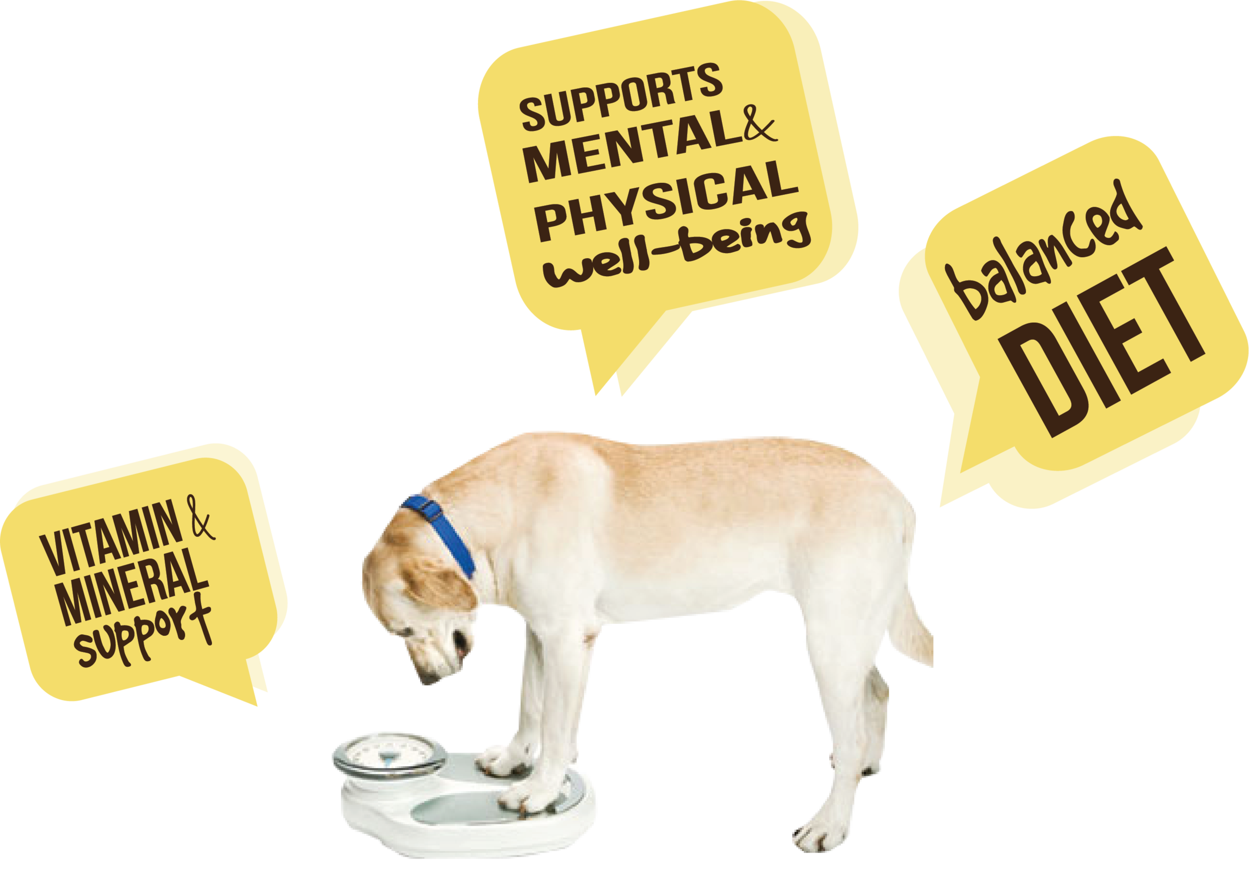 dog multi Old .png