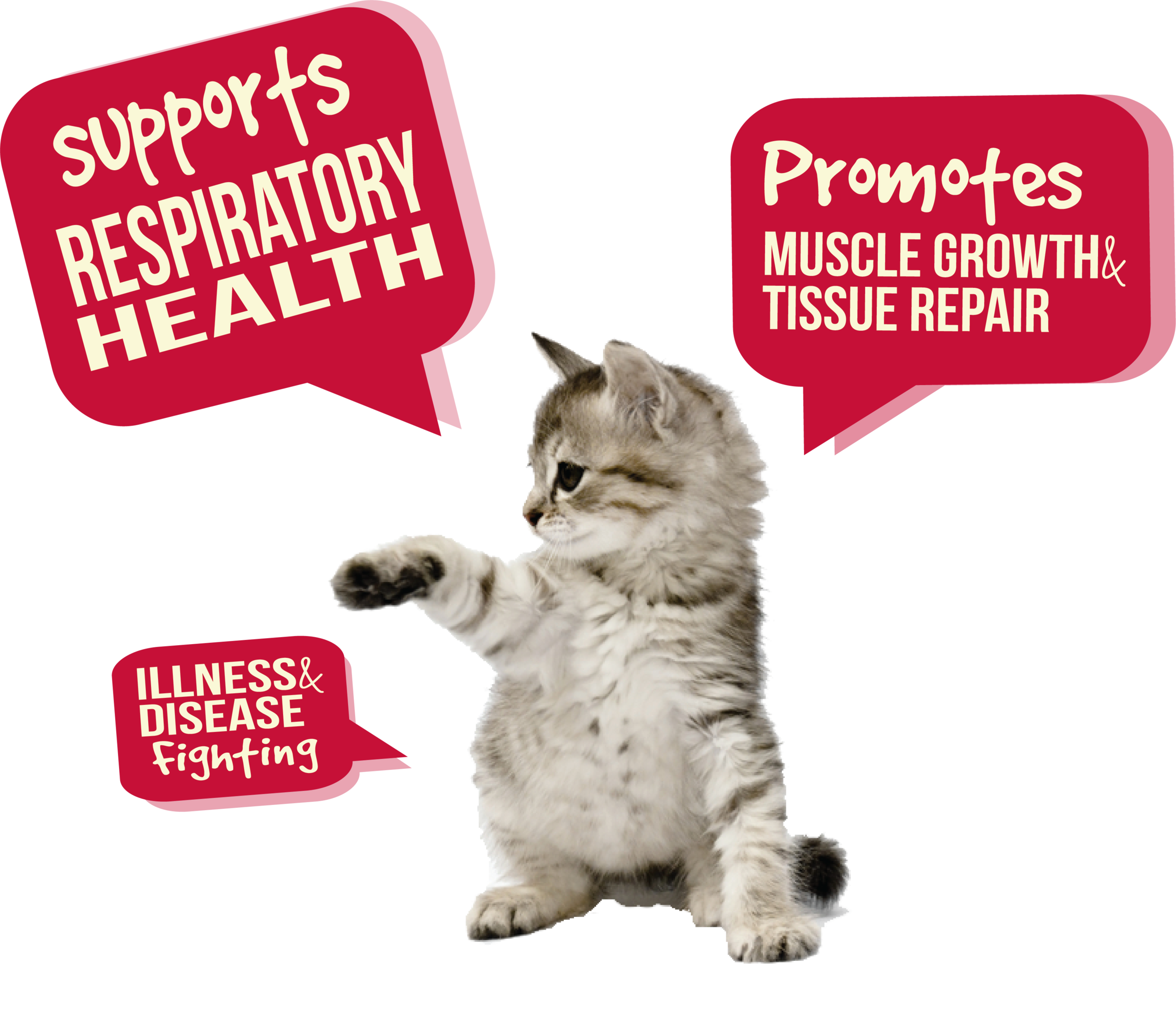 Immunity Enhancing Cat Stress Relievers
