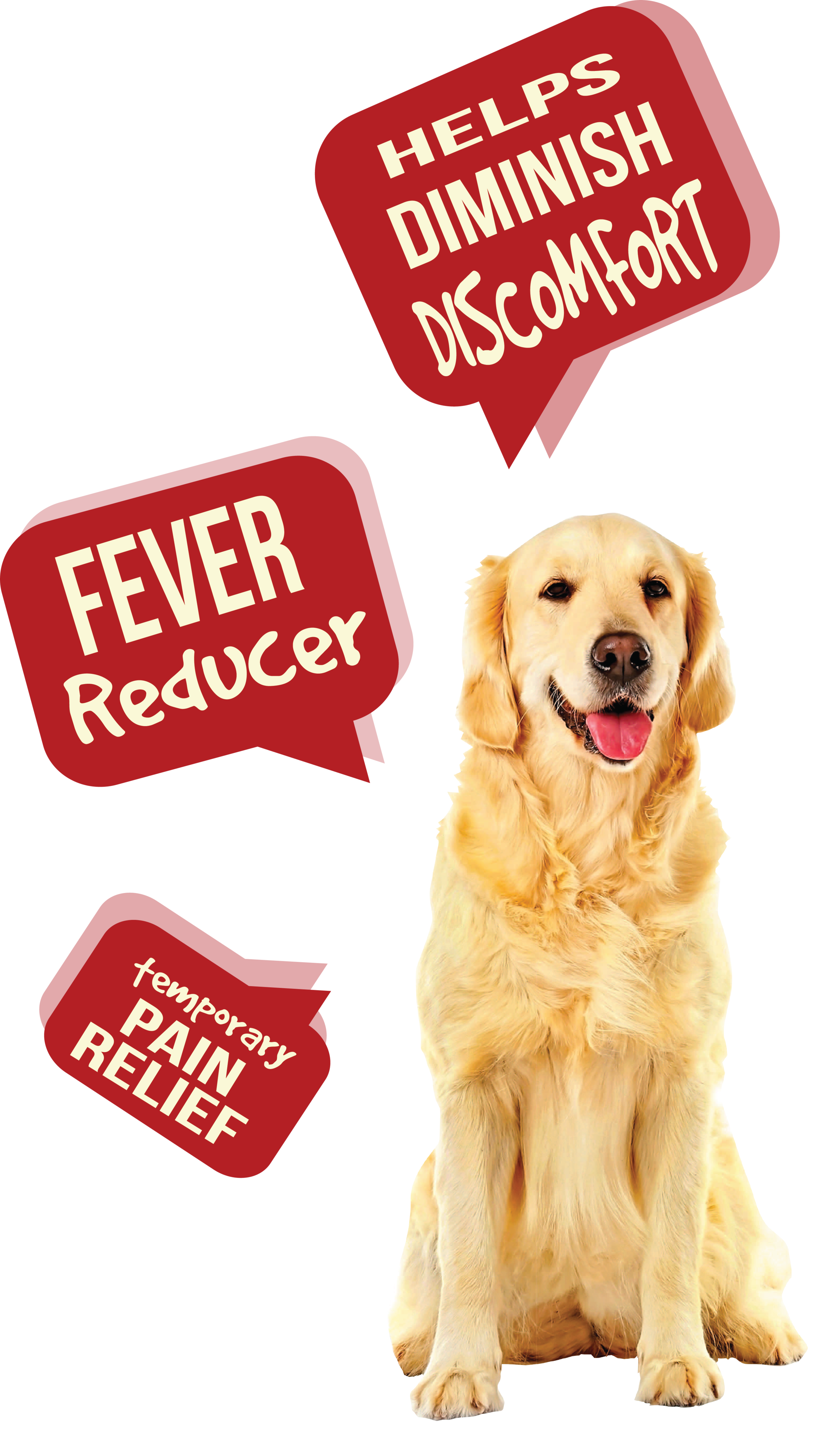 dog pain aid r1.png