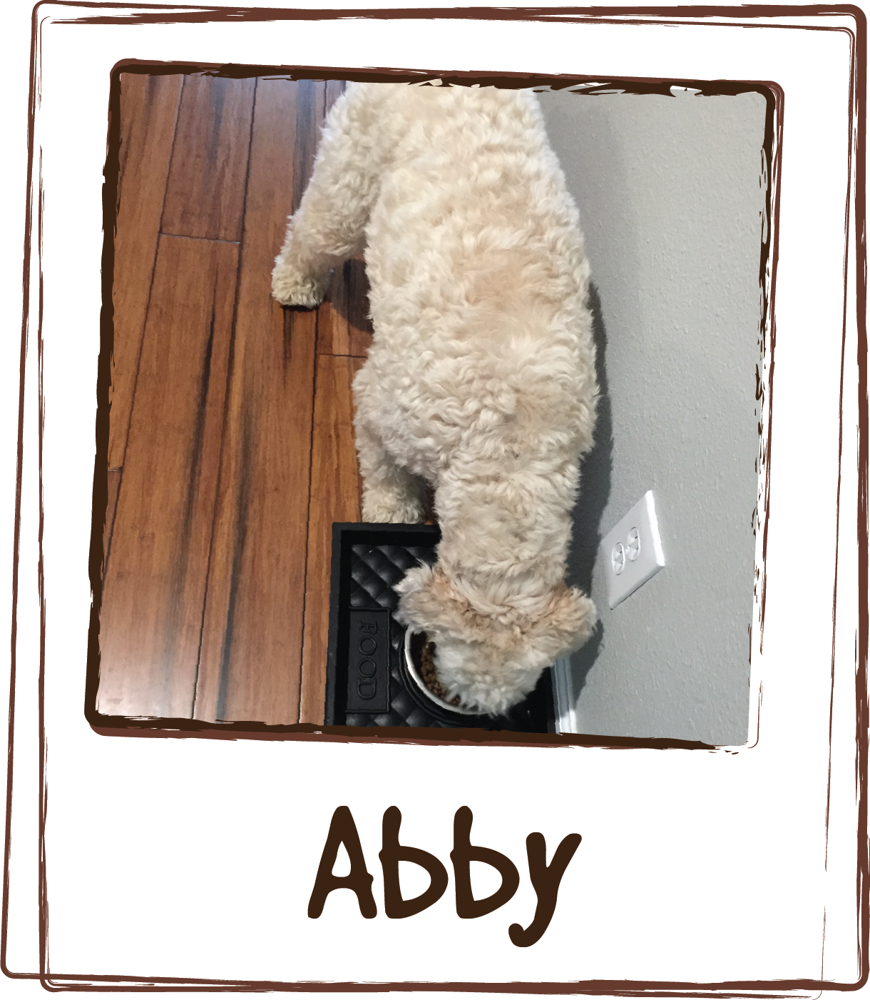  “Before we found Licks Digestion, we'd frequently be awakened by the sound of cats fighting...in Abby's belly. It was so loud we could hear it across the room, and then she wouldn't eat breakfast. Since we found Licks and have been giving it to her 