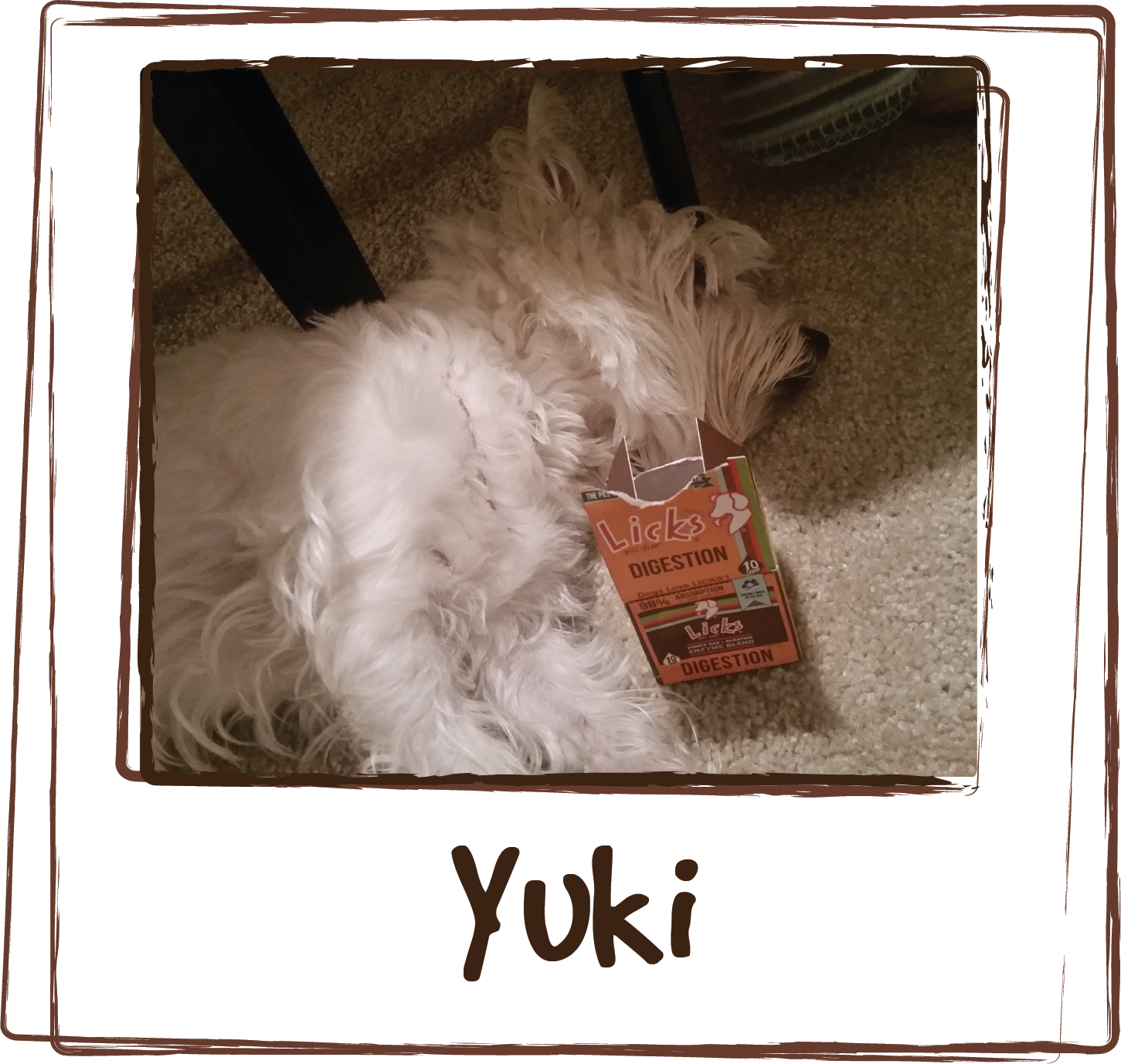 “This product saved me $300 to the vet! Not saying you should avoid going to the vet, but I knew it was upset stomach and I wanted to try alternative way first. After 5 days of loose or watery stools, and very smelly fart, I tried as many remedies as I could from articles online. It seemed to help a little bit, but the smelly fart was the tough one to go away. I went to Pet'sMart and tried to find something that would offer enzyme plus to stop the smelly fart. This one did it! It's been 4-5 days since she first took it, and now the stool has been nice and firm. Success!”