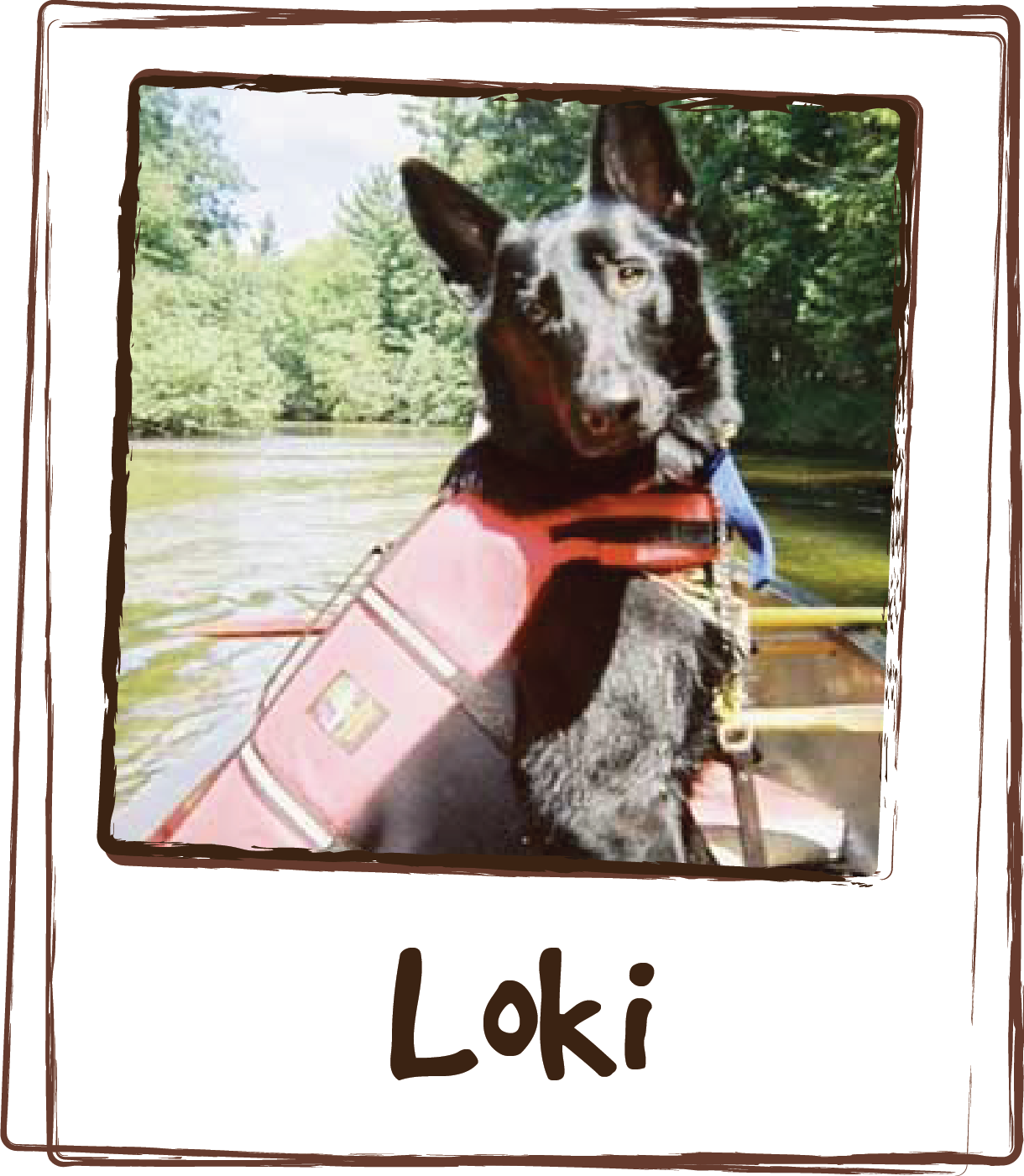  “I am writing to Thank You for developing such a GREAT product! For the past 6 weeks, I have been using the Joint and Heart formula with my 11 year old German Shepherd, Loki. Loki is still a very active dog, and loves to take on new challenges. Rece