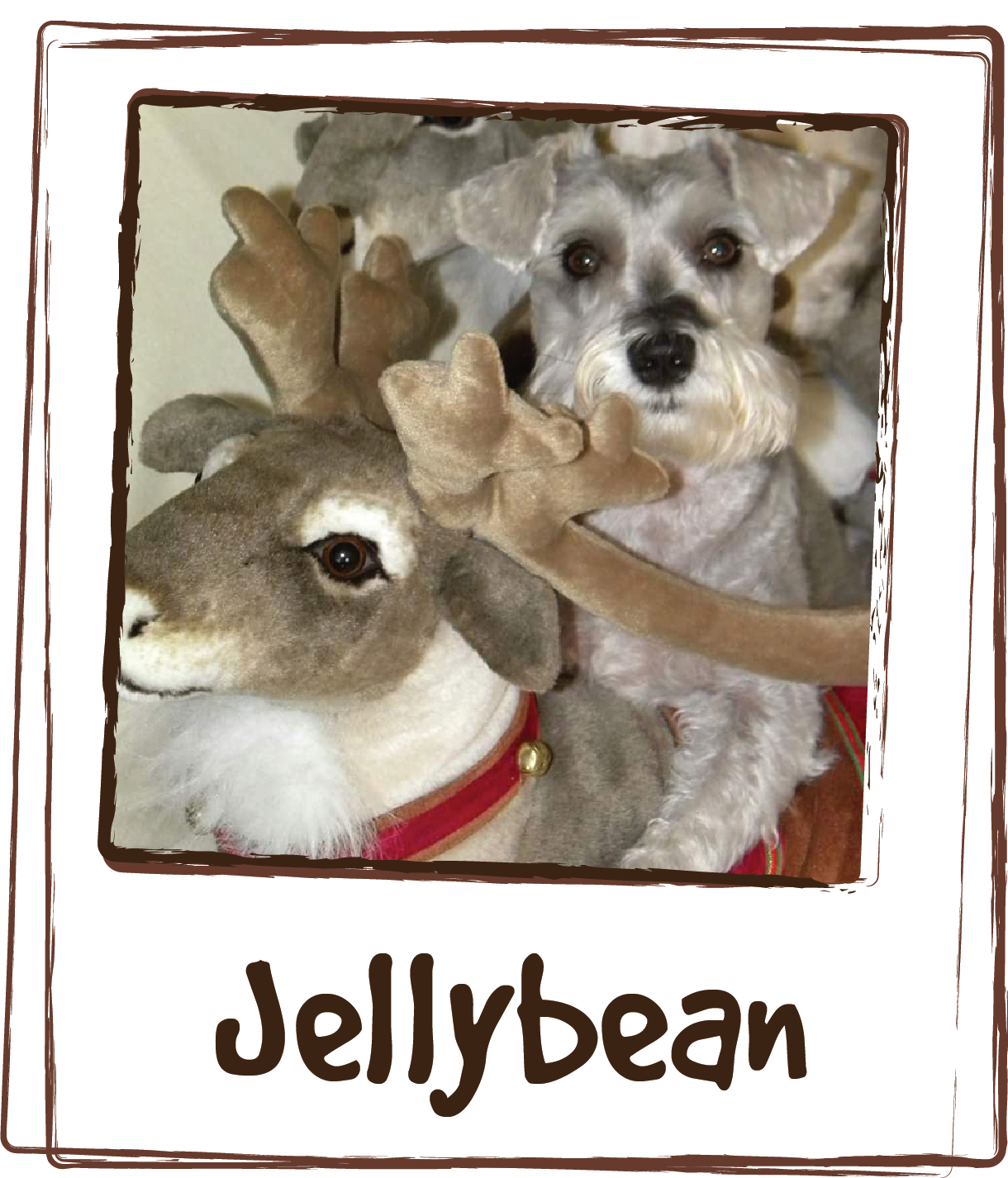  “We love this product. &nbsp;Due to spraining the back right leg from excessive running and jumping, Jellybean was unable to move much. After a trip to the ER vet they placed her on meds that really didn't seem to do much! &nbsp;Our family vet sugge