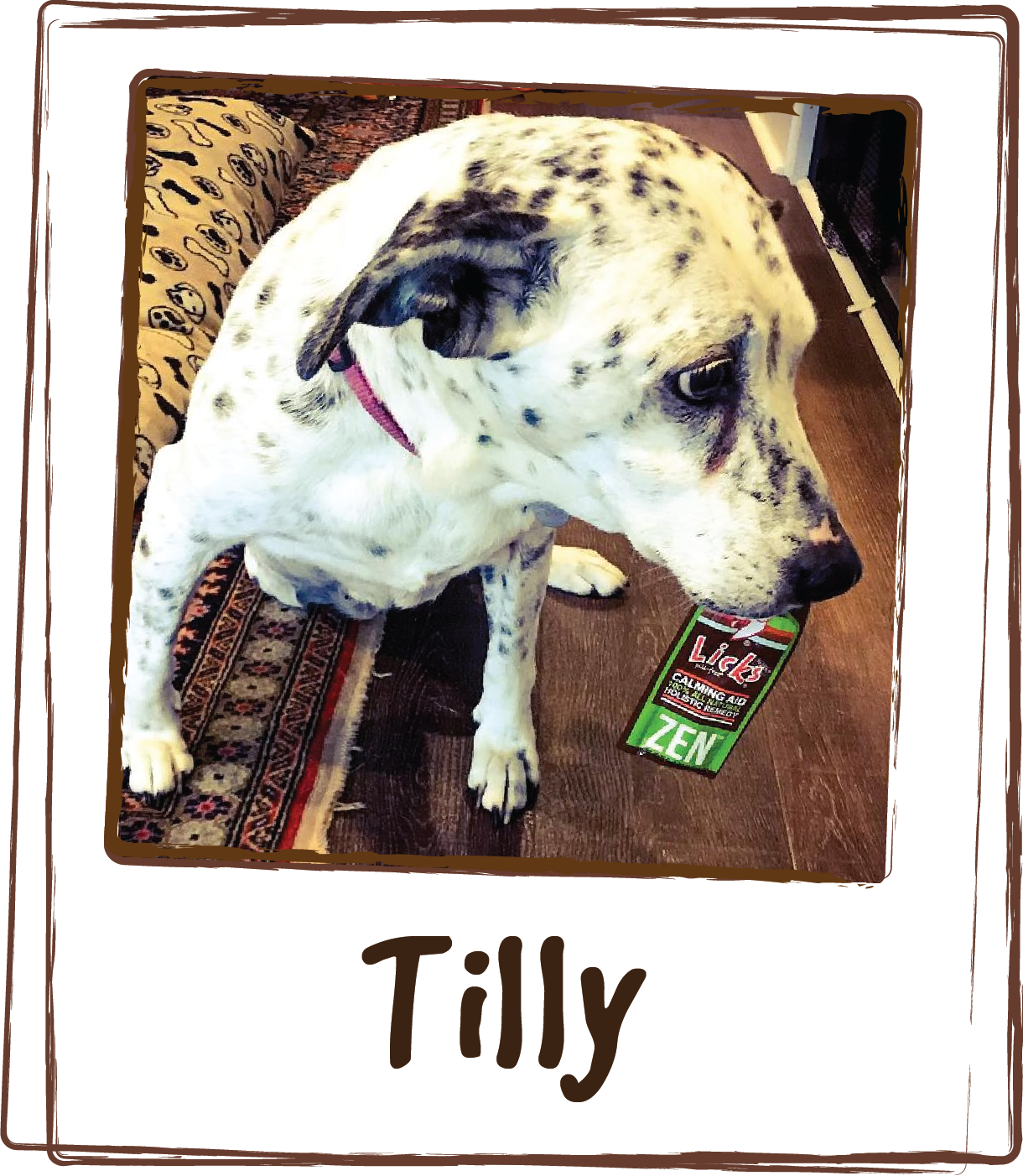  “Tilly is happy, loves to sun bathe and play with the kids. All thanks to LICKS. And she loves it so much that she tries to eat the package!” 