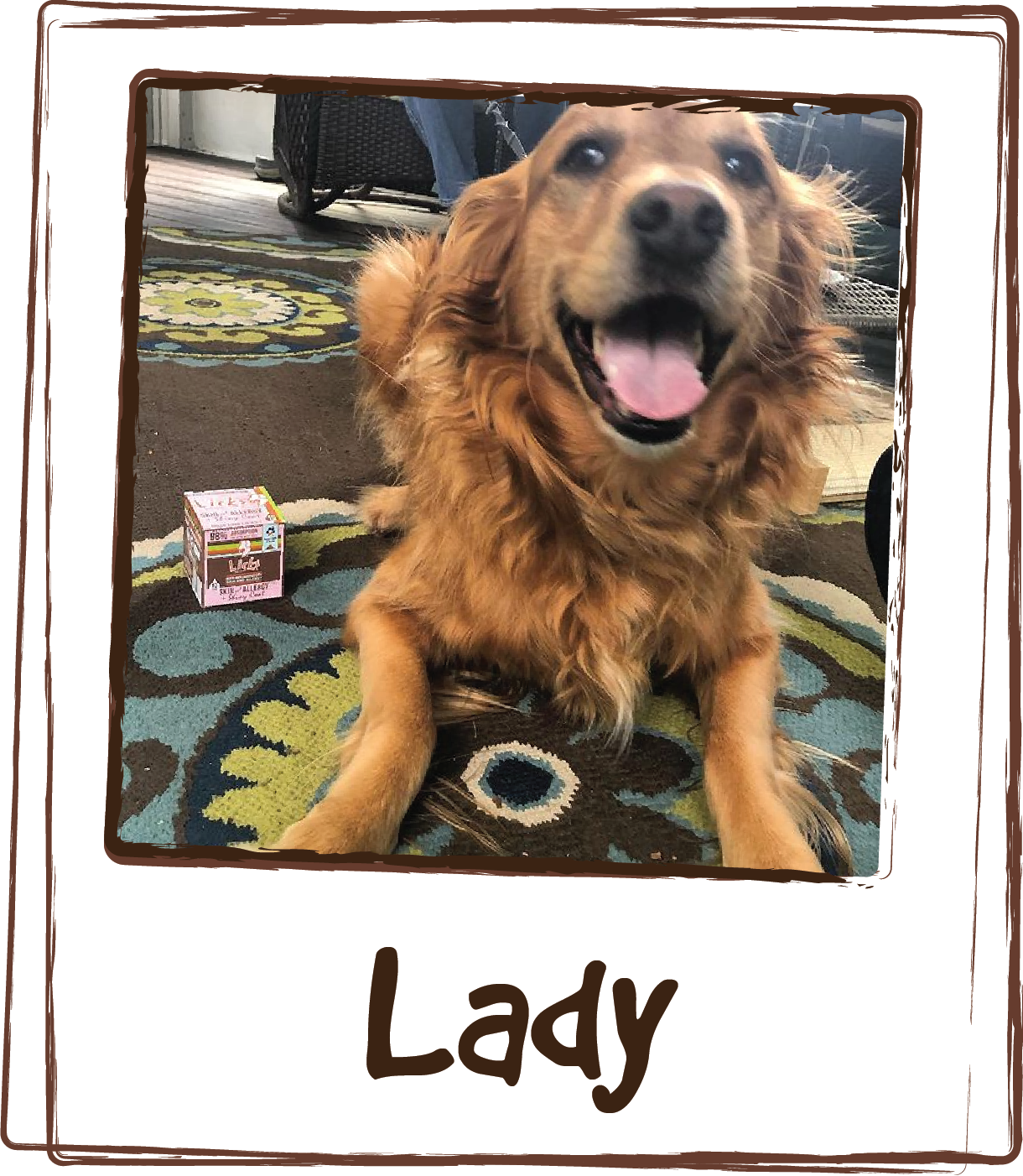  “Lady has been suffering with bad skin allergies for years and it seems to be extra worse this year. She gets hots spots, you name it. I have tried everything. It wasn’t until she started LICKS a few months ago that the rashes started to disappear. 