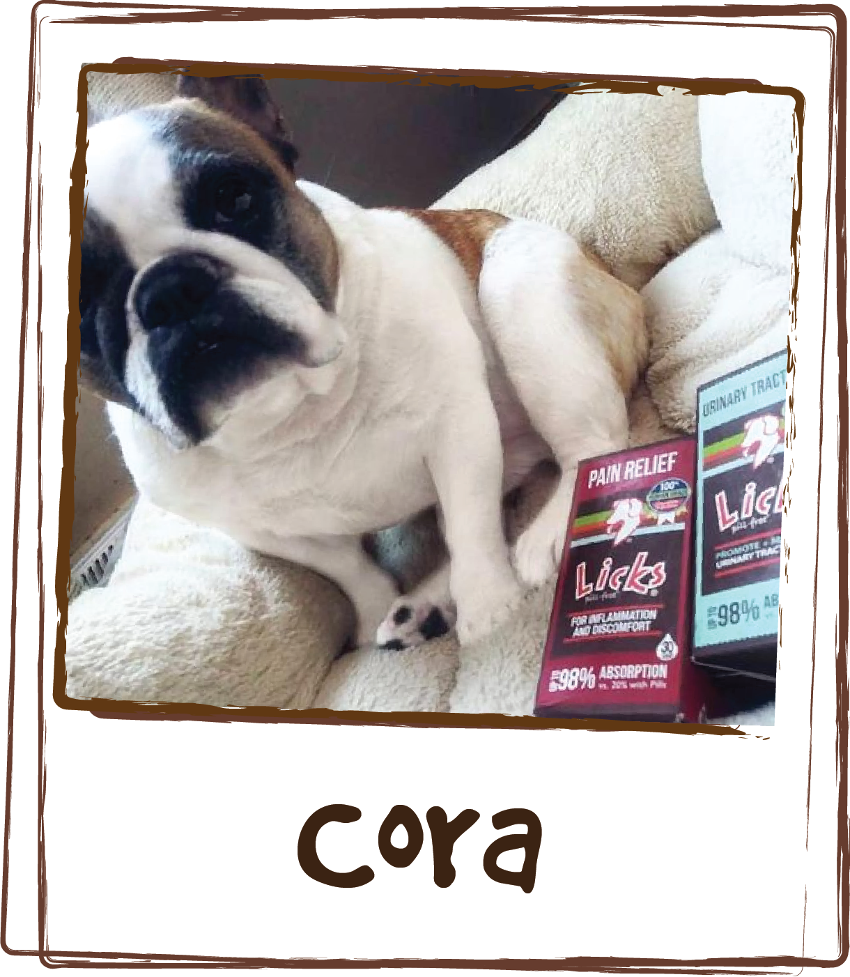  “@lickspillfree is SO helpful, for our baby girl Cora with a UTI! I really love all their products they are really amazing how well they work. And I love the ingredients! All our fur babes have used it for many different things.” 