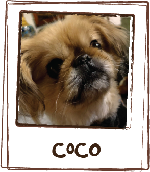  “Coco is an 8 pound Pekingese. She has has recurring UTIs for the past few years. The vet wanted to put her on prescription food but Coco only eats Fresh Pet. We decided to try the urinary tract licks and it cleared up her infection. And she loves i