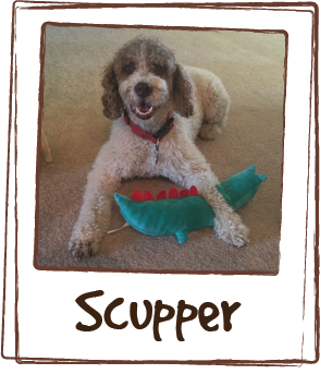  “Scupper loves Licks. He eats it up before the storms. Or if he is getting his nails done. He is a sensitive animal. Scup was born with a heart shaped patch on his back. He is a Spanish Water Dog. So thank you! Thank you for Licks. You all have done