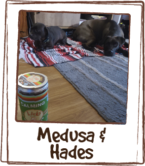  “Our 85lb girl, Medusa, has major anxiety. She is so worried and scared of sounds and will paces, grump, bark and just not settle down. After her first Calming Lick she was settled and nothing bothered her. Even loud clapping, snapping and the noisy