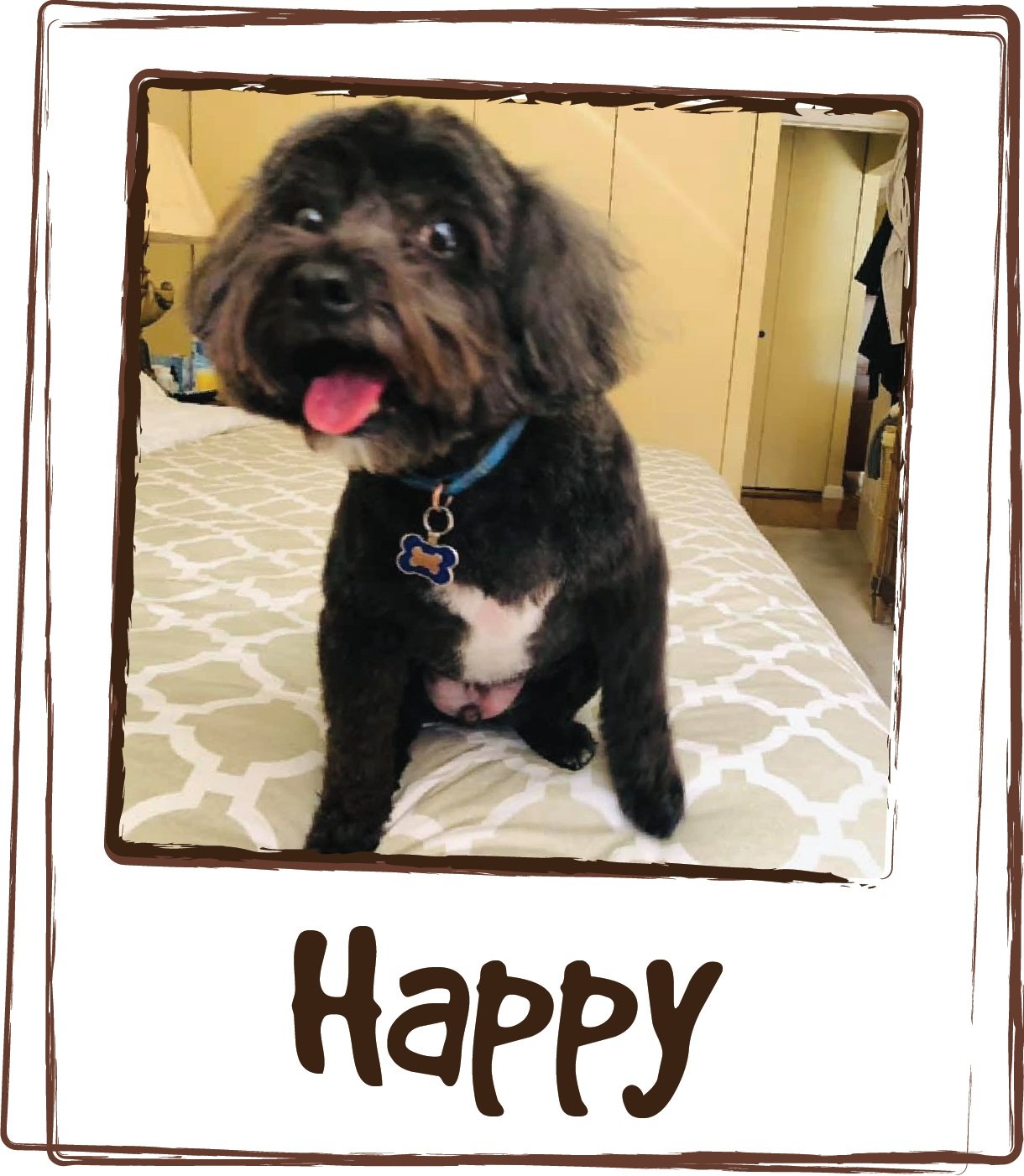  “I have been using Lick's Multi-Vitamin since we got our dog Happy 7 years ago. I am happy with my experience for I can say that in those 7 years, Happy has had Perfect Health.. never a reason to take him to Vet, except for a checkup visit. THANK YO