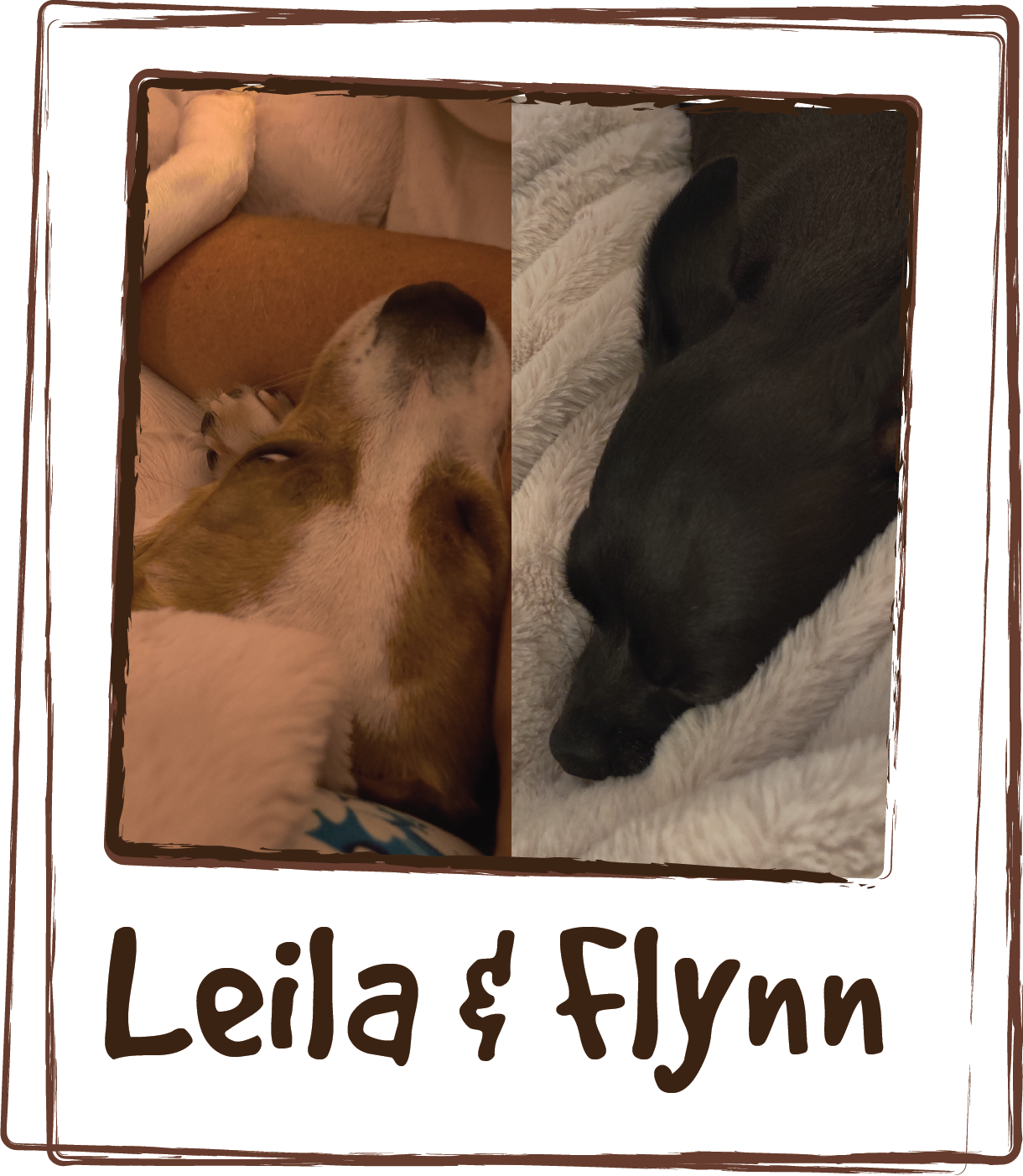  “We use the Lick's vitamins and both dogs absolutely love them (and Laila is the pickiest eater I've ever met). We received a sample of Zen and I saved it knowing 4th of July was coming up. Both dogs are terrified, Laila barks as every firework goes