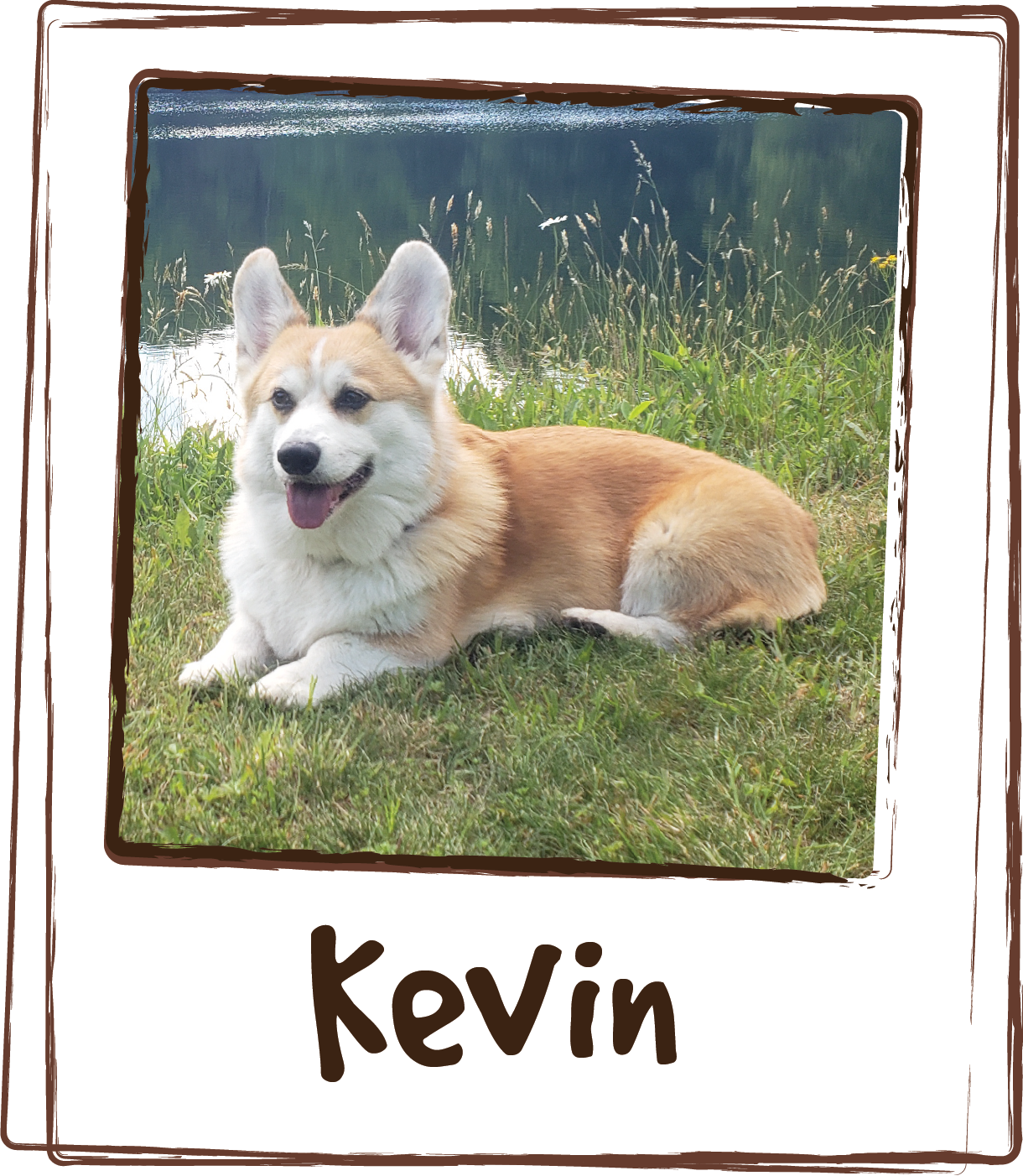  “First time using (Licks Athlete) for my agility dog Kevin. Nice energy rebound. I'll definitely use it again.” 