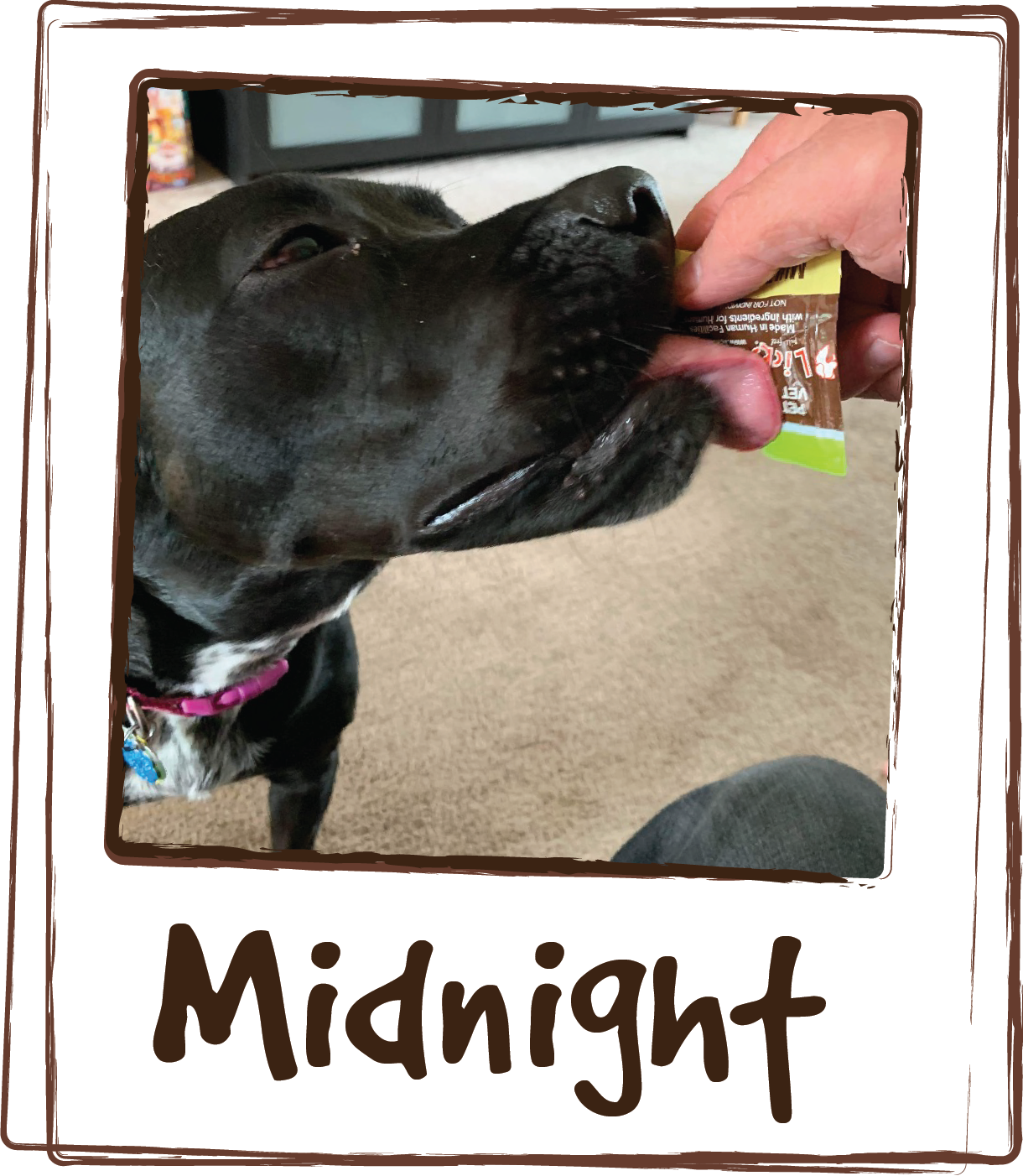  “Our dog Midnight loves your Multi-Vitamin supplement! Sometimes she'll lick it all straight from the packet and sometimes we put it in her food to help with flavor and get her to eat when she's being a picky eater. And it's gratifying to know that 