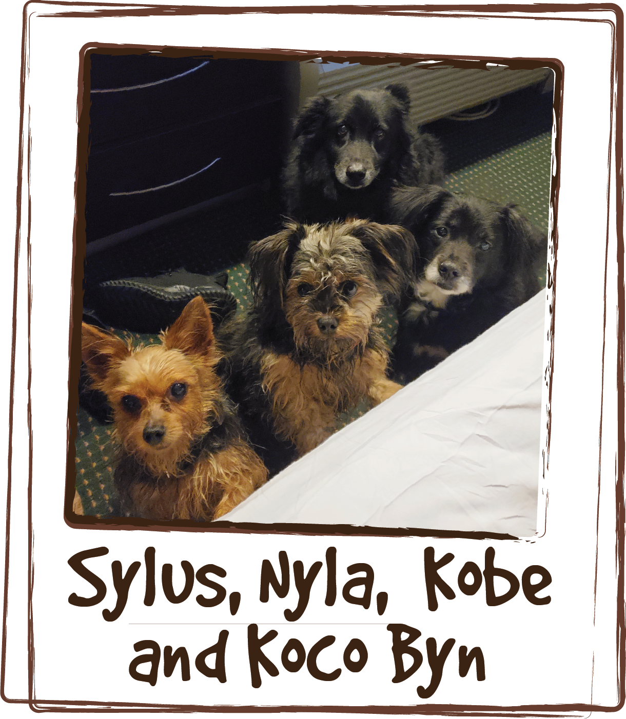  “I really like this product. It's very easy to give to each of my dogs. I'm a pet owner of 4 and each has their own issues that needed to be addressed. So far LICKS is making a difference. Awesome product 👌” 