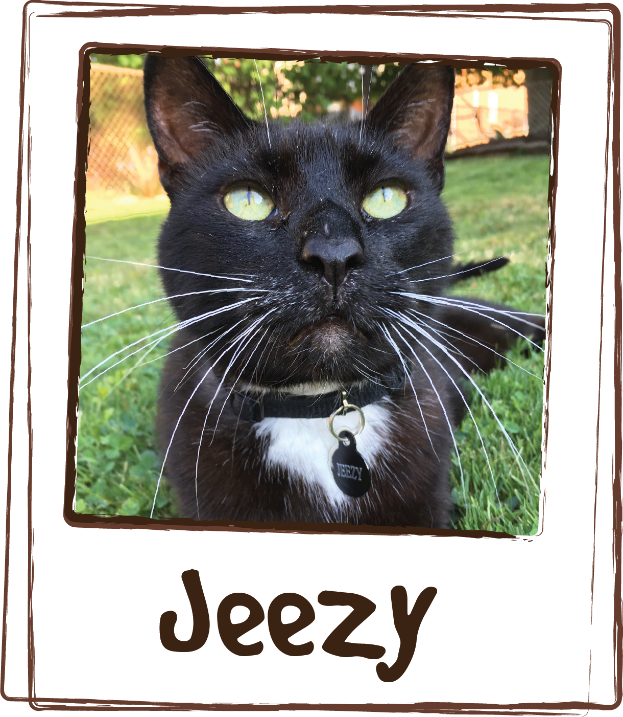  “I have some really picky cats.  This is the only vitamin/supplement any of them will eat.  Jeezy gets the senior licks and it clears up his dry dander-y fur and makes his coat feel soft and fluffy after a few packets!” 