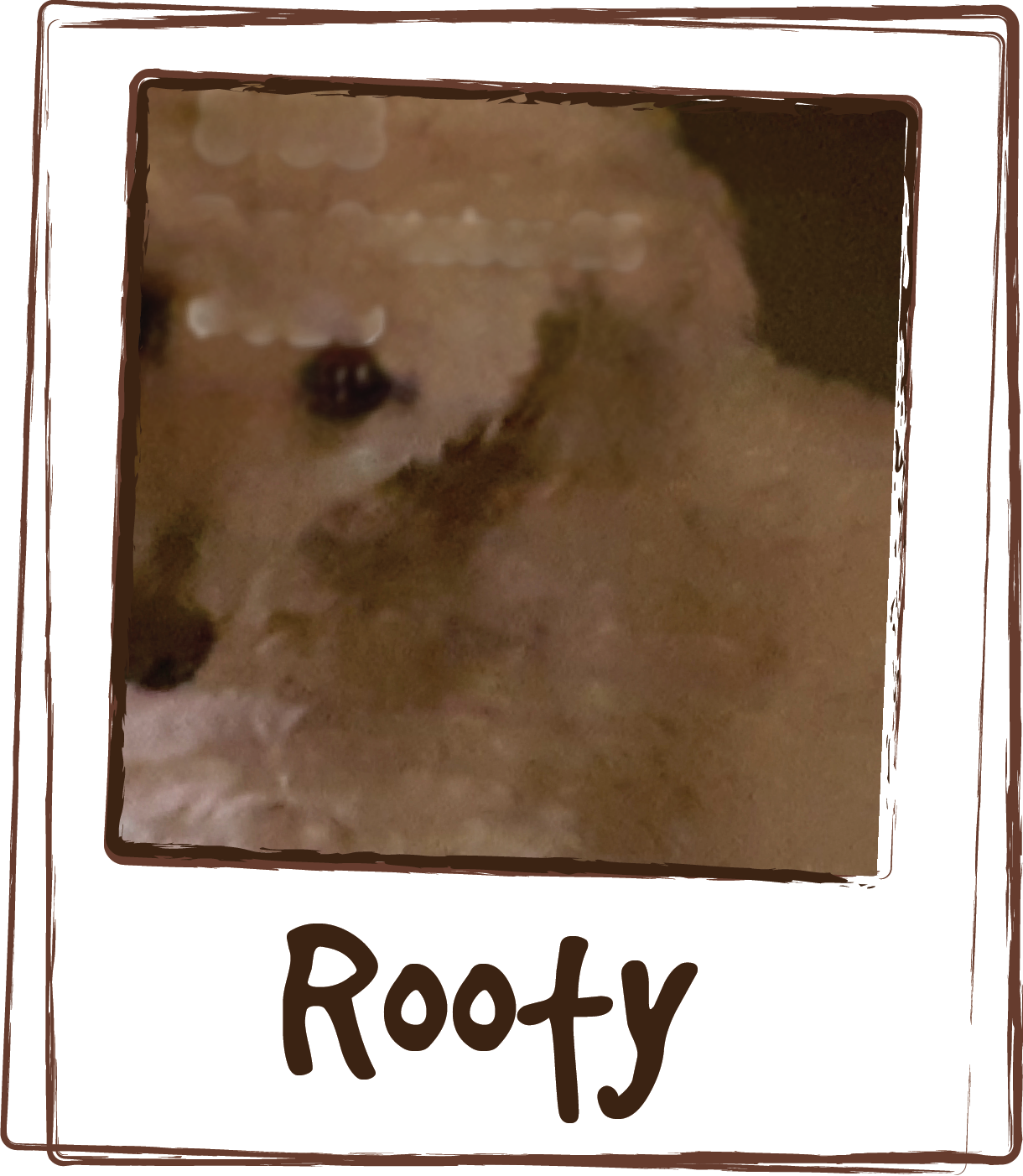  “My dog Rooty gets nervous at the Vet, getting groomed, and being away from me for an afternoon. I found Licks at a store and it works great, I even gave some packets to my friends whose dogs would cry when left alone, it worked great for them too!”