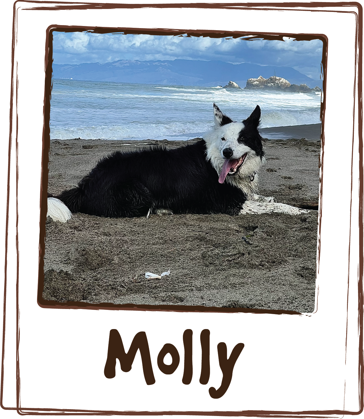  “We use Licks to avert/relieve Molly's symptoms from thunderstorms, fireworks and the like. The calming effect is obvious as she stops trembling, panting, nervous pacing and drooling and can lie down and relax again!” 
