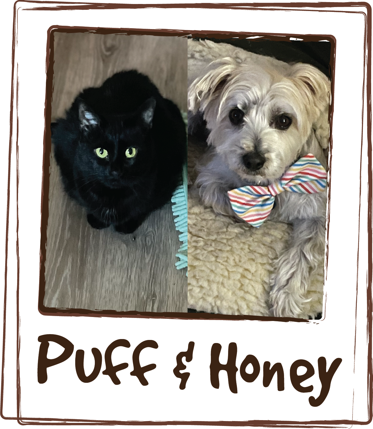  “I give both my cat and dog skin &amp; allergy formula with their food. They not only love it, but their skin and coats seem to be much healthier, too. We are all very happy!” 