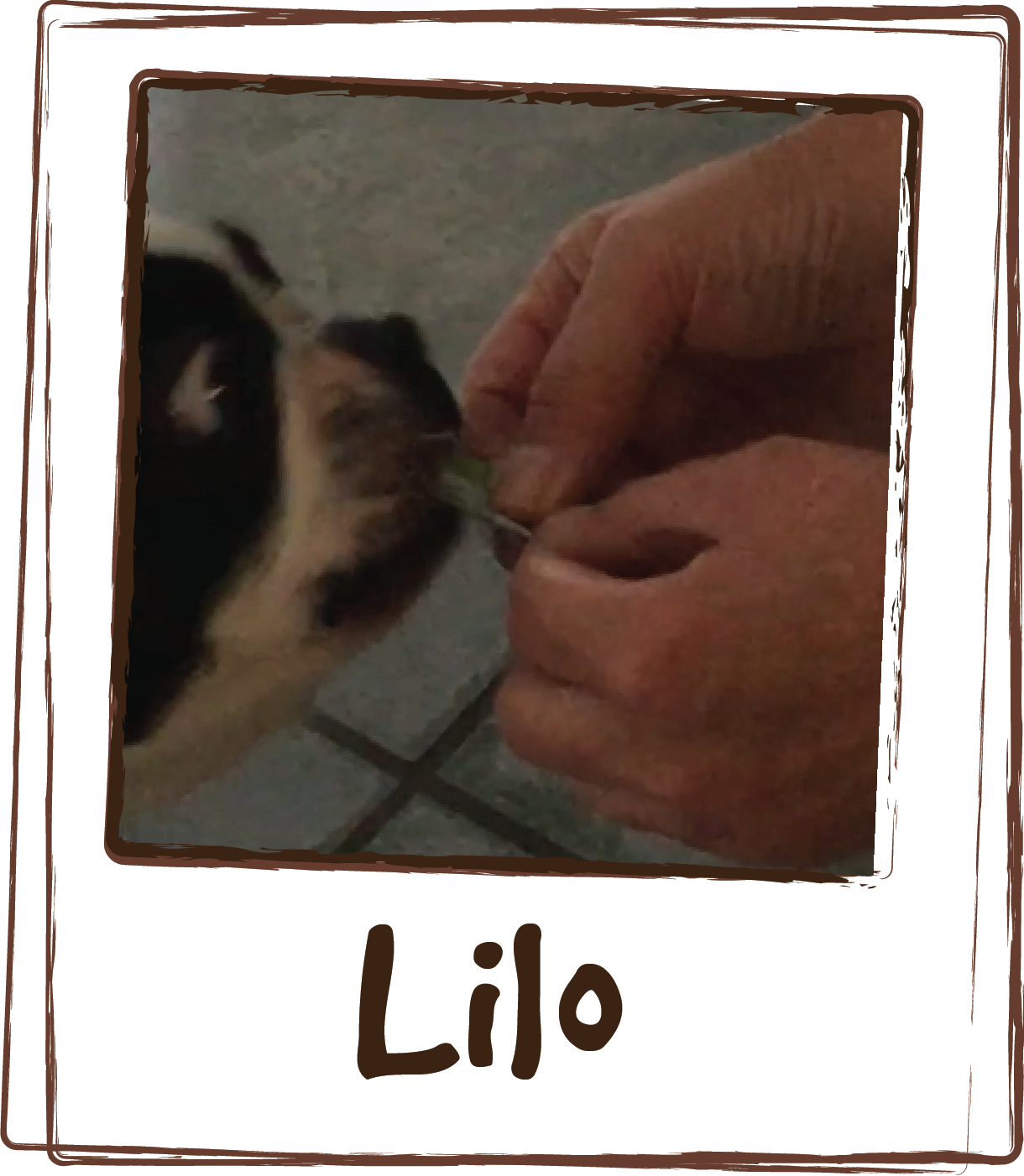  “Lilo loves this stuff (Licks Littles Zen   Calming Aid)!!” 