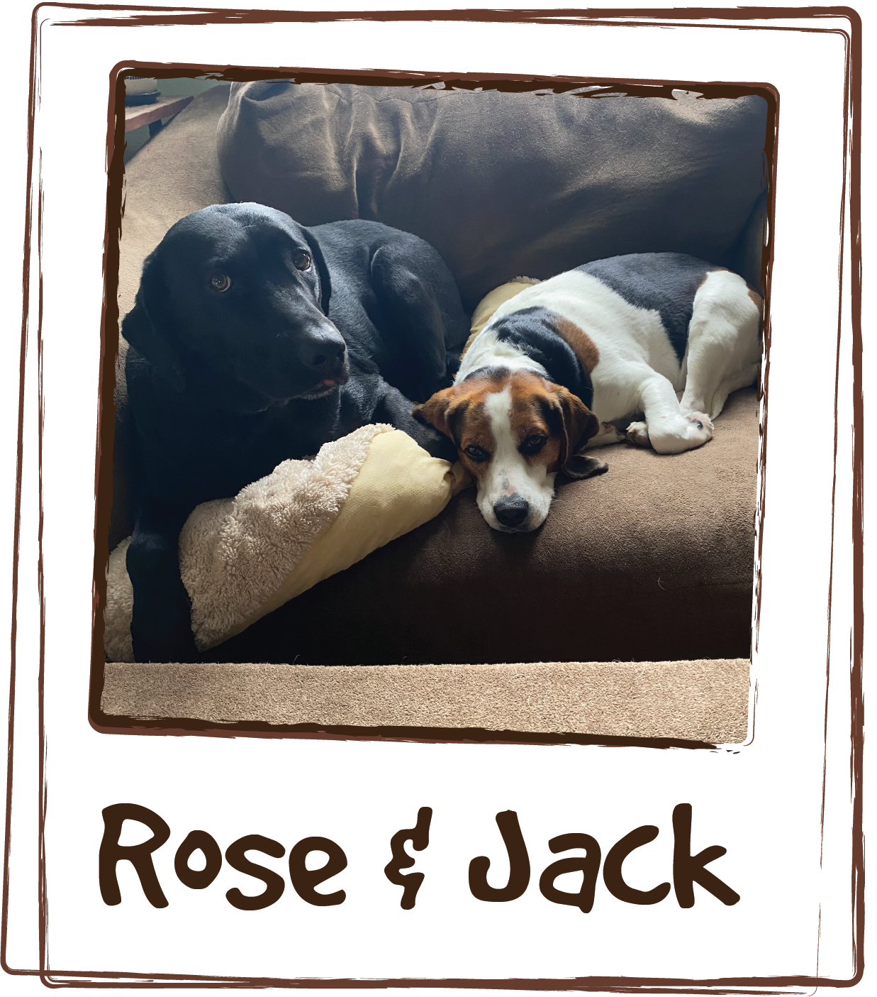  “Our dogs love Licks! And we love the benefits! Our lab - Rose - goes through phases of excessive shedding to the extent that she would have bald spots under her collar. Ever since we started consistently using Licks Skin and Allergy formula, her co