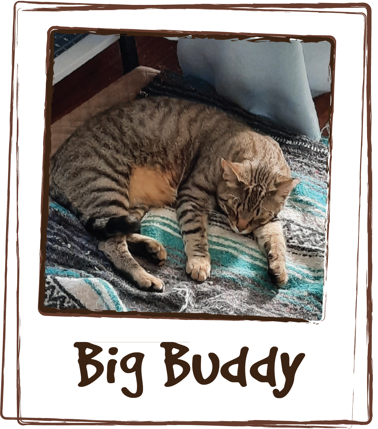  “Recently Big Buddy began to have problems going to the litter box to urinate. After a trip to the Animal Hospital he was diagnosed with Urinary Tract problems. I researched his diagnosis and began to add the Urinary Tract Care to his special diet a