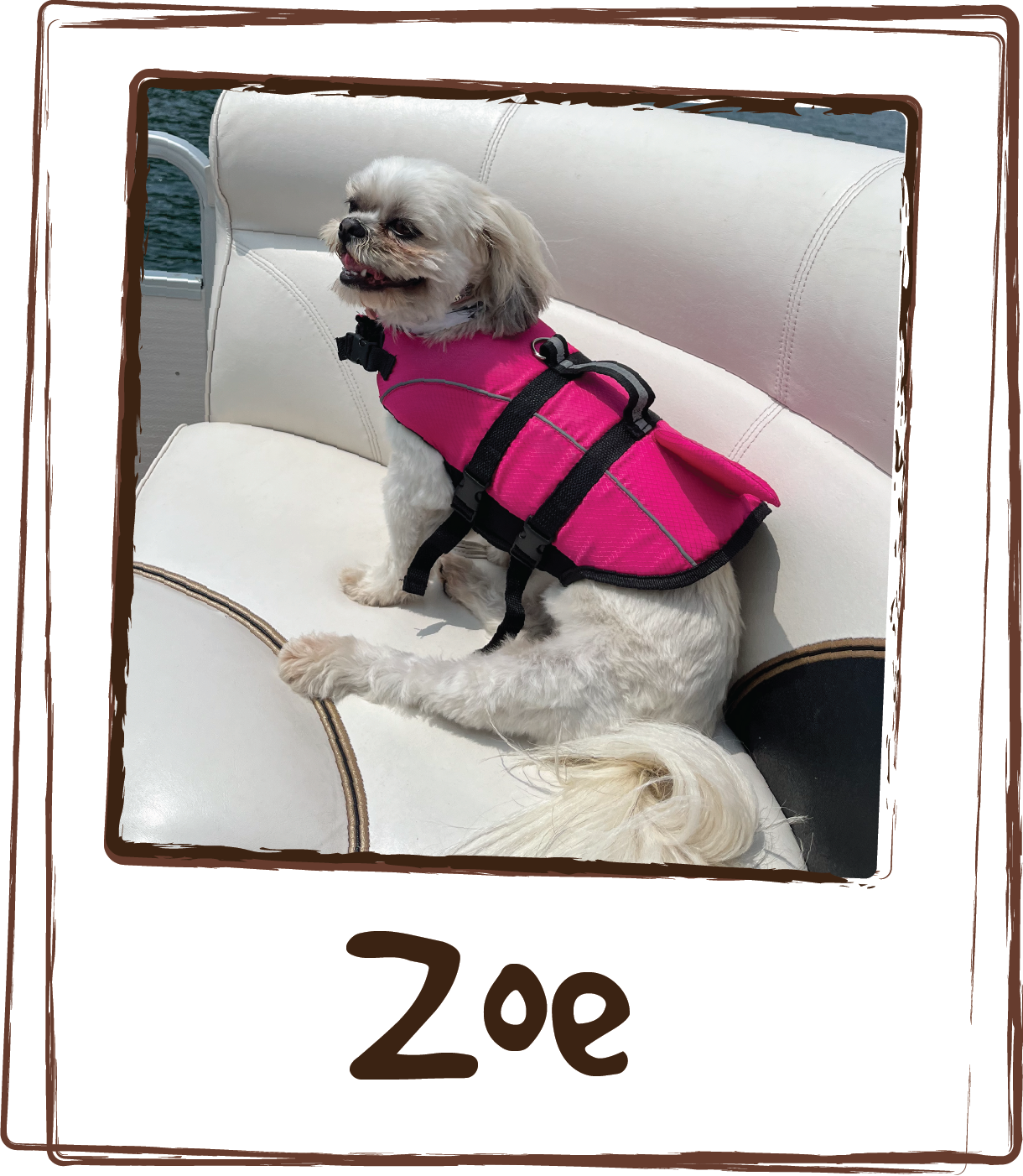  “(ZEN Calming Aid) really helps calm Zoe down, she is very afraid of storms and fire crackers!”  
