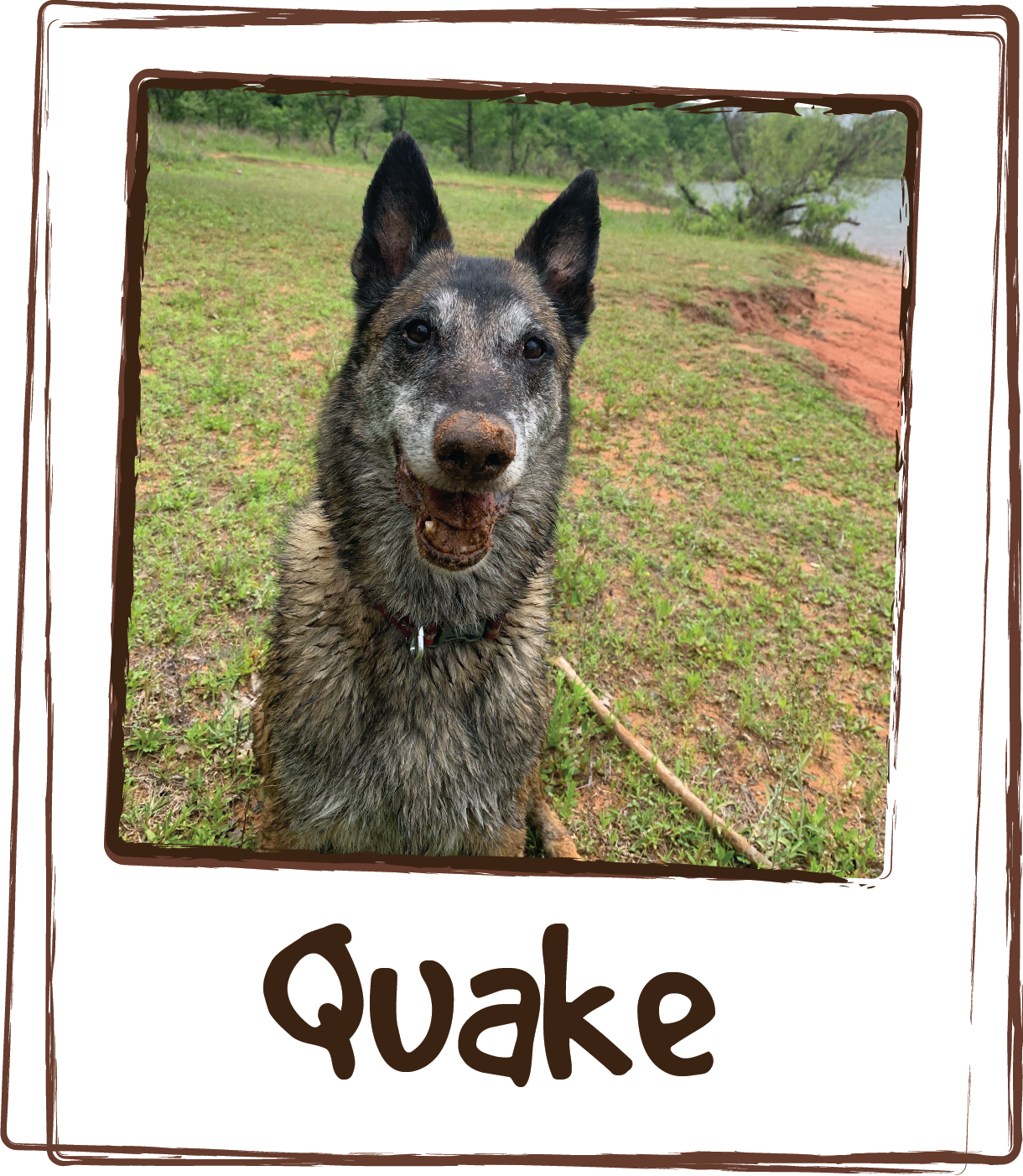  “Zen Licks calms Quake down and allows her to be more comfortable while we train other dogs with gunfire, whistles, etc. Her sensitivity developed after she was retired. Quake is noise sensitive in her older age and Zen works really well to help tak