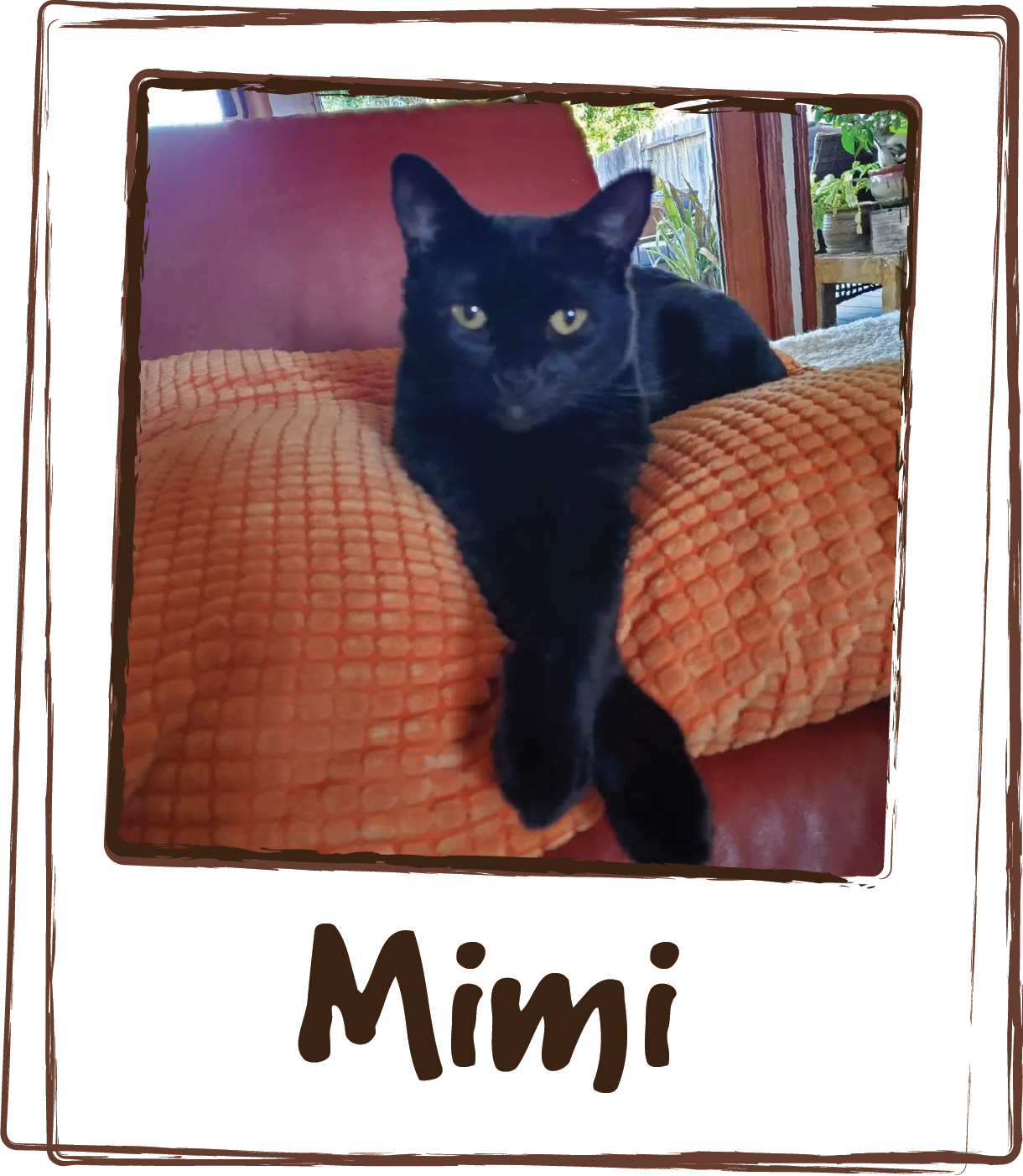  “Mimi has been over grooming for some time now.  I've tried everything to get her to stop, but nothing has worked.  Mimi is on her second box of Licks Cat Calming,  While she hasn't completely stopped licking all her fur off, I've noticed a differen