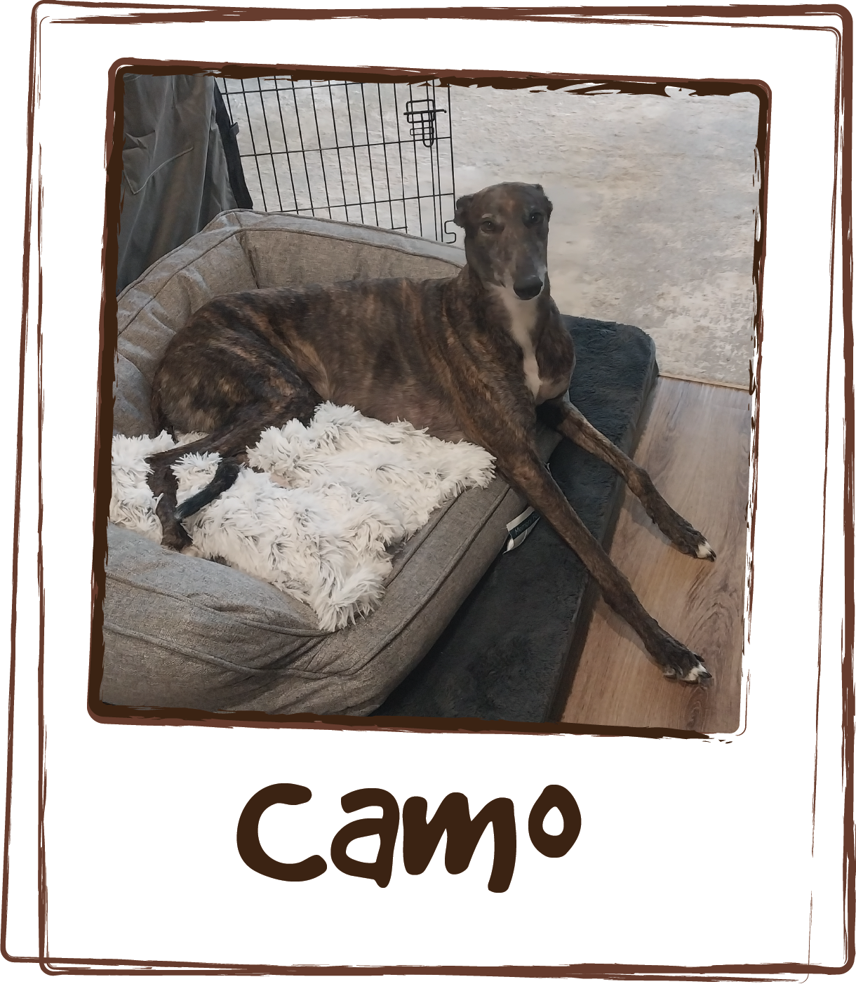  “I originally purchased as a treat that I could give my dog while on walks but Camo prefers the liquid to be mixed in with her wet food. I like that I can put it in the fridge and it gels up more solid or I can leave at room temperature and it's an 