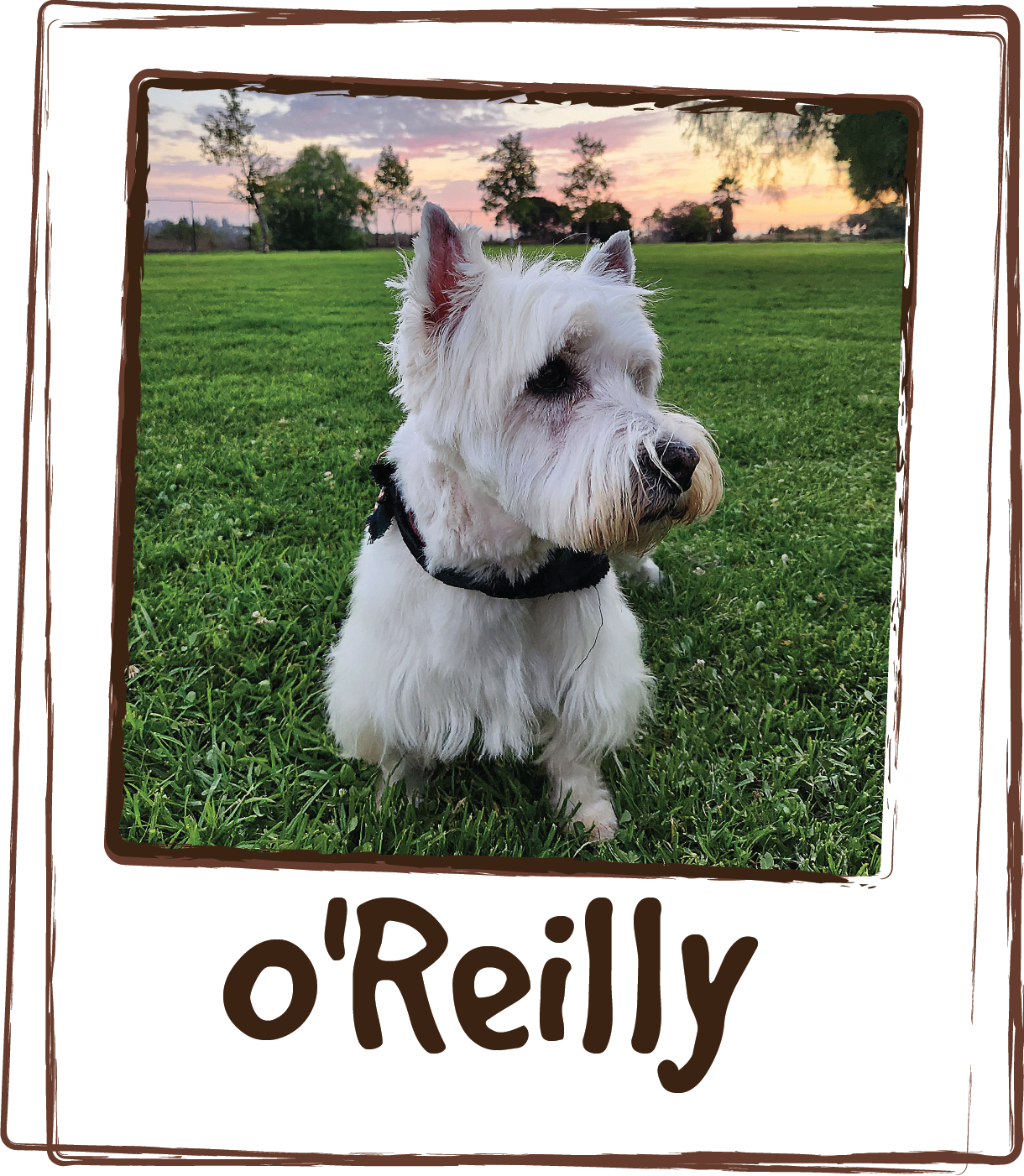  “As O'Reilly gets older he has times of panting and restlessness.  This is especially true at bed time.  We have found the only item to have him relax and get to sleep is the calming Licks. It has helped so much and works within about 30 minutes.” 