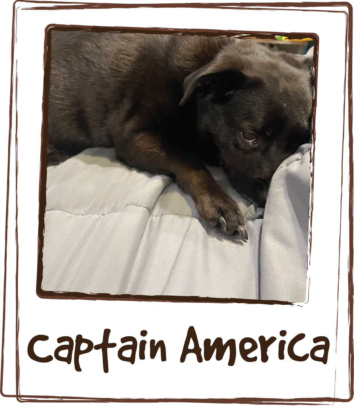  “My dog Captain America suffers from storm anxiety. His whole body shakes and he's pants so much. It was so hard to watch and not be about to provide any comfort. We found Lick's when he was about 3 (he’s 8 now) and it's a staple in our home. We liv